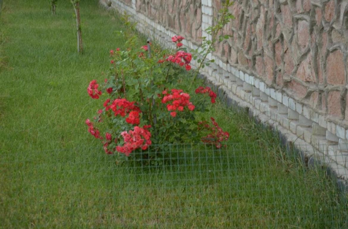 Photo 34