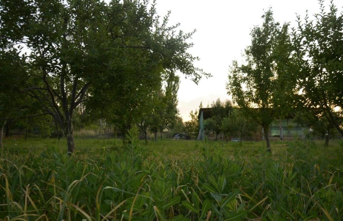 Photo 36