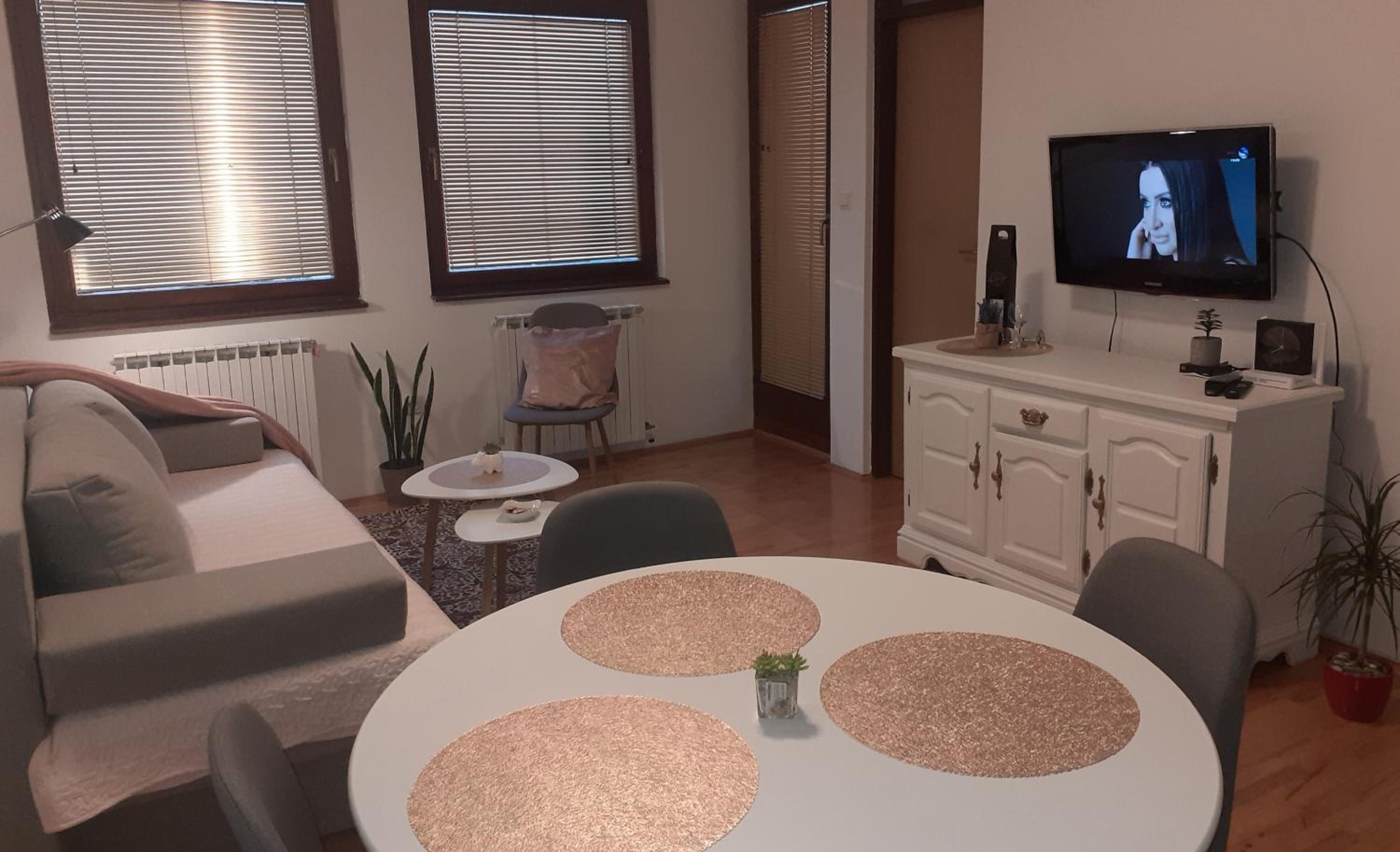 Cozy apartment in the center of East Sarajevo