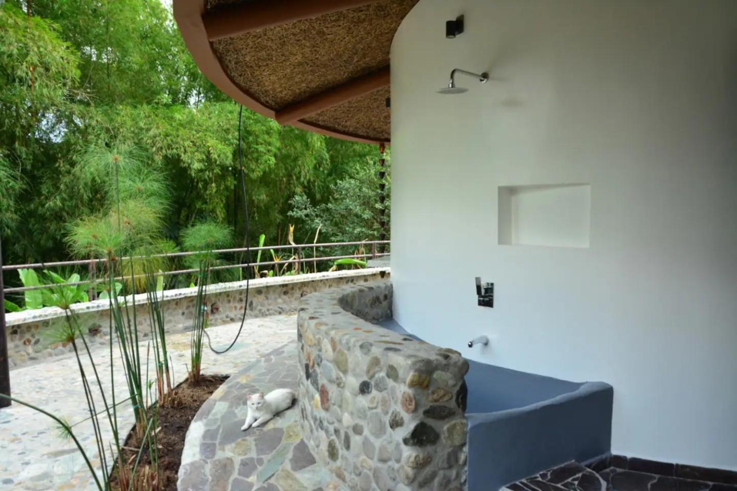 Small Round House with Living Roof