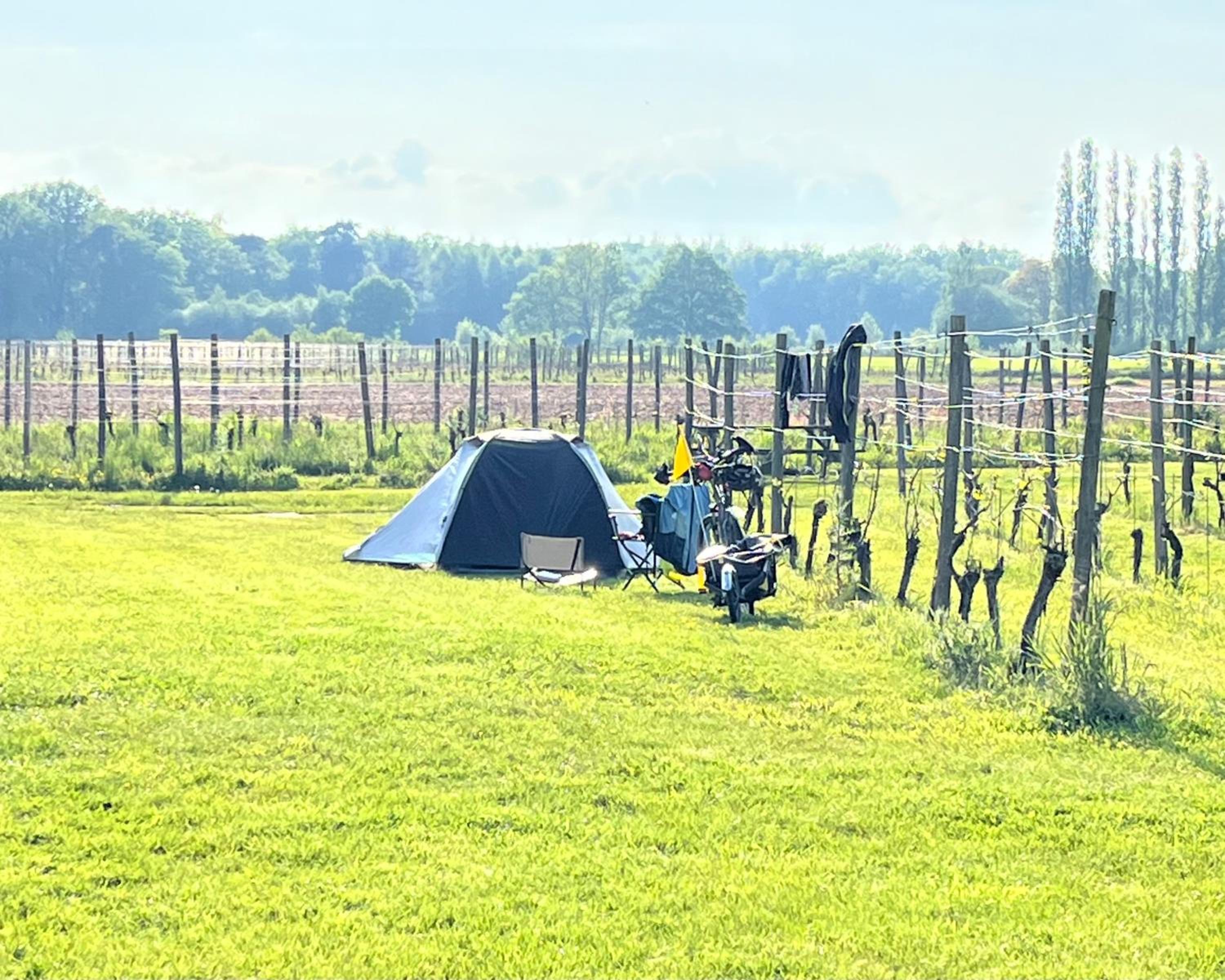 Erve Zonnehoeve B&B en Wijngaard