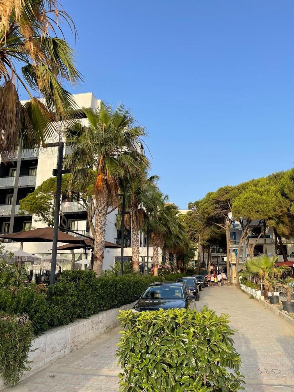Vega Appartement 1
