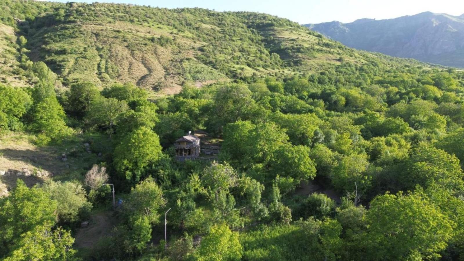 Hors's Home