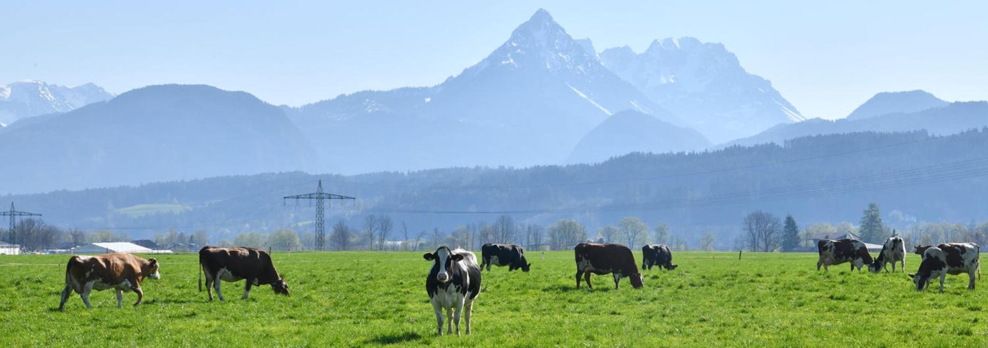 Lacknerhof
