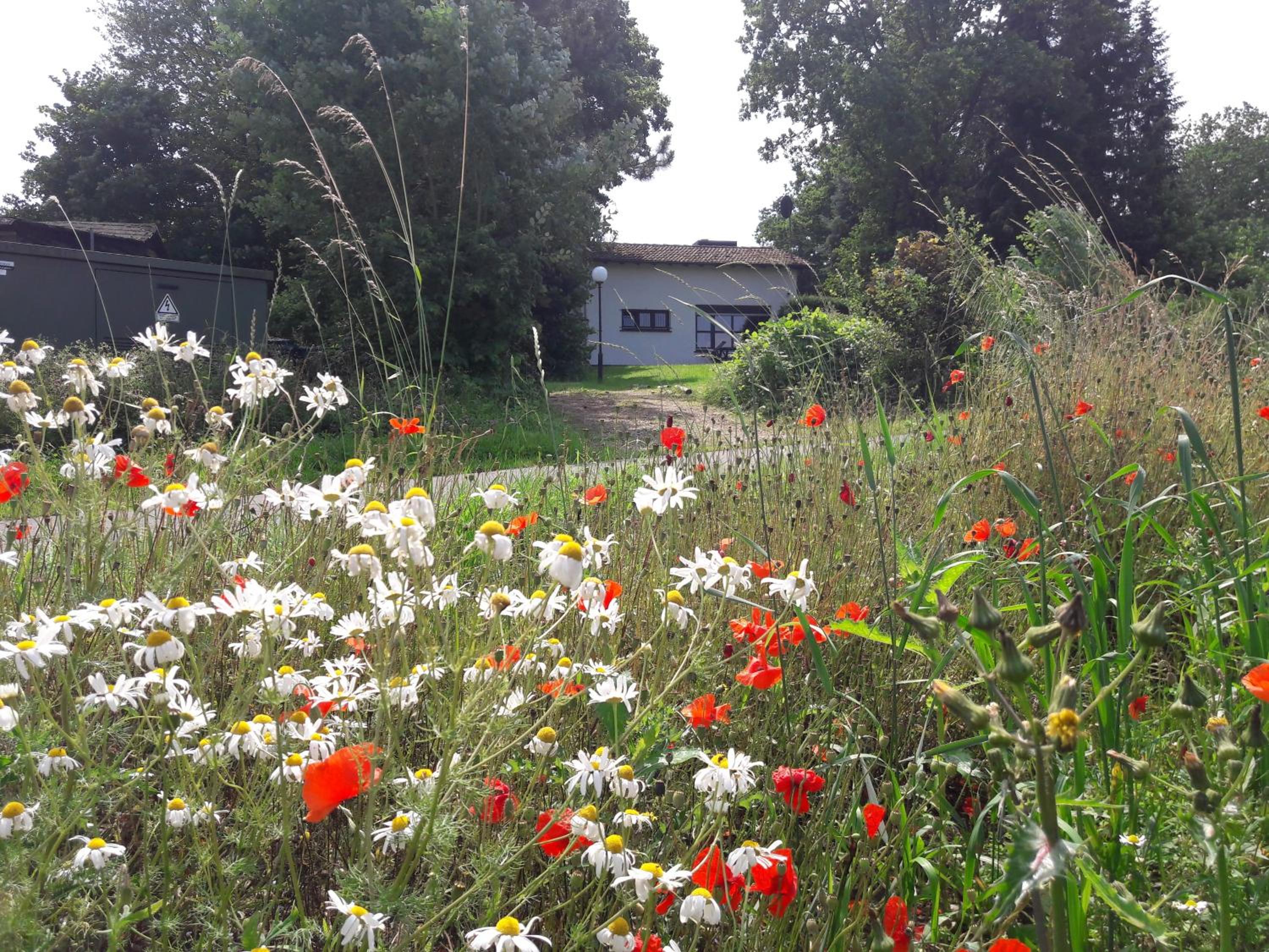 Haus am Wald