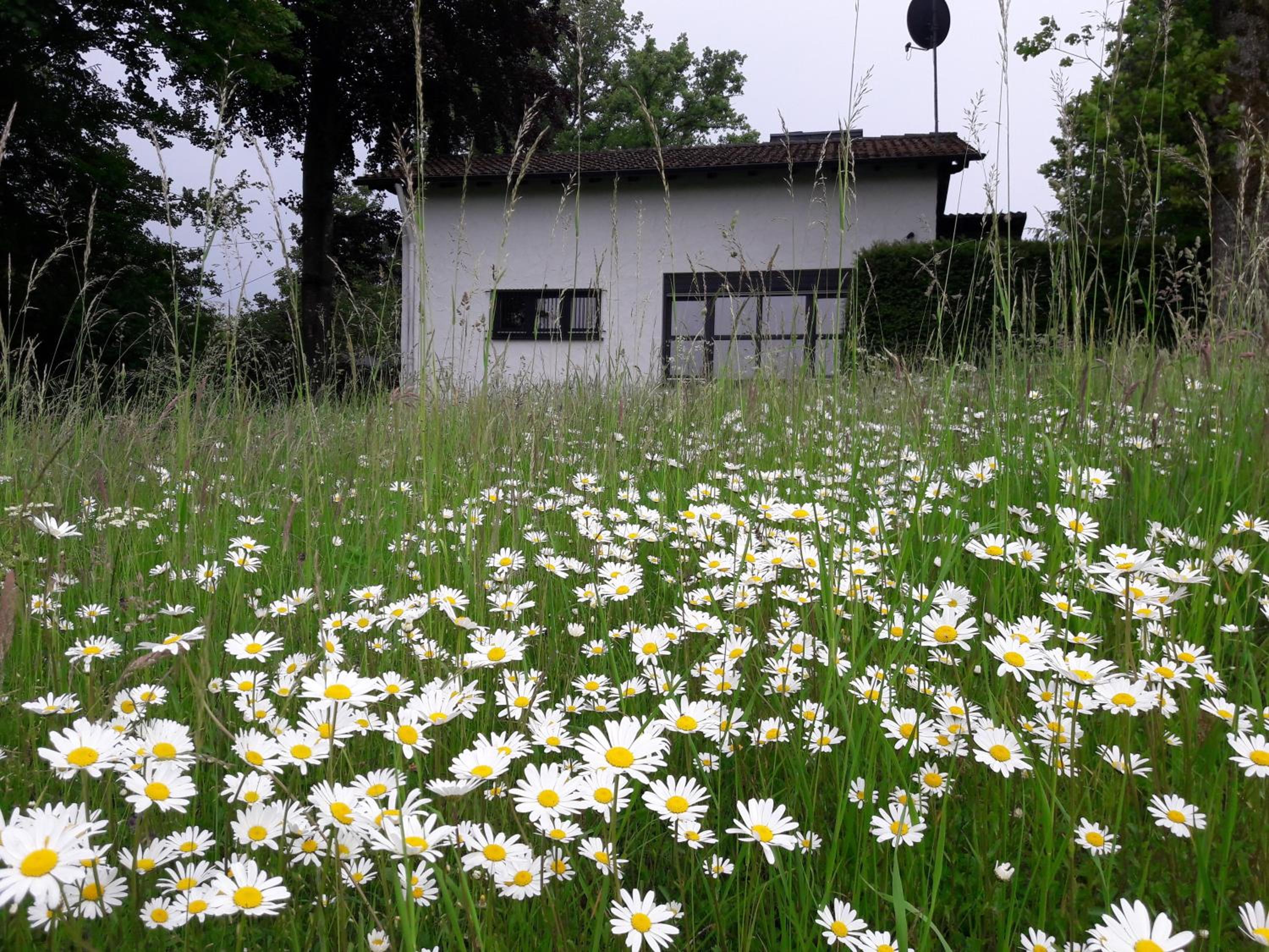 Haus am Wald