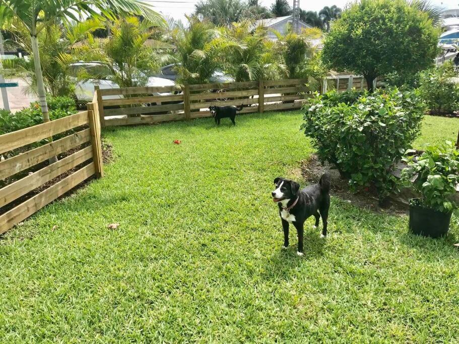 Vero Beach Vacations - Sailfish Suites - 12 - waterfront lodging - Property Image 9