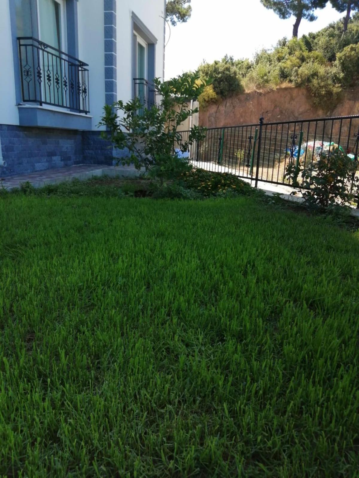 Oktapolis