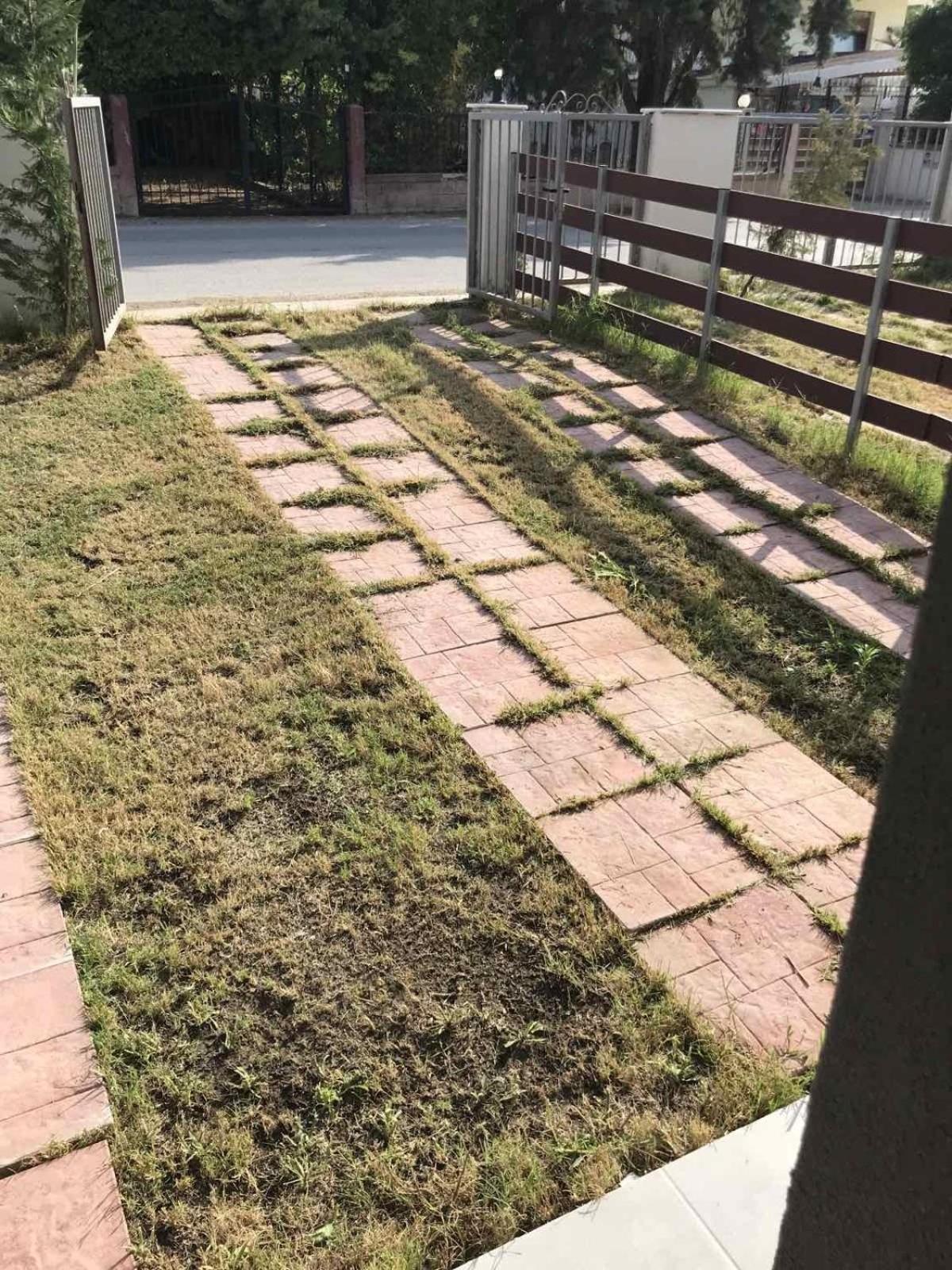 Aegean View Summer House 2 photo 4