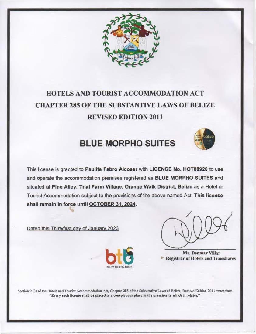 Blue Morpho Suite