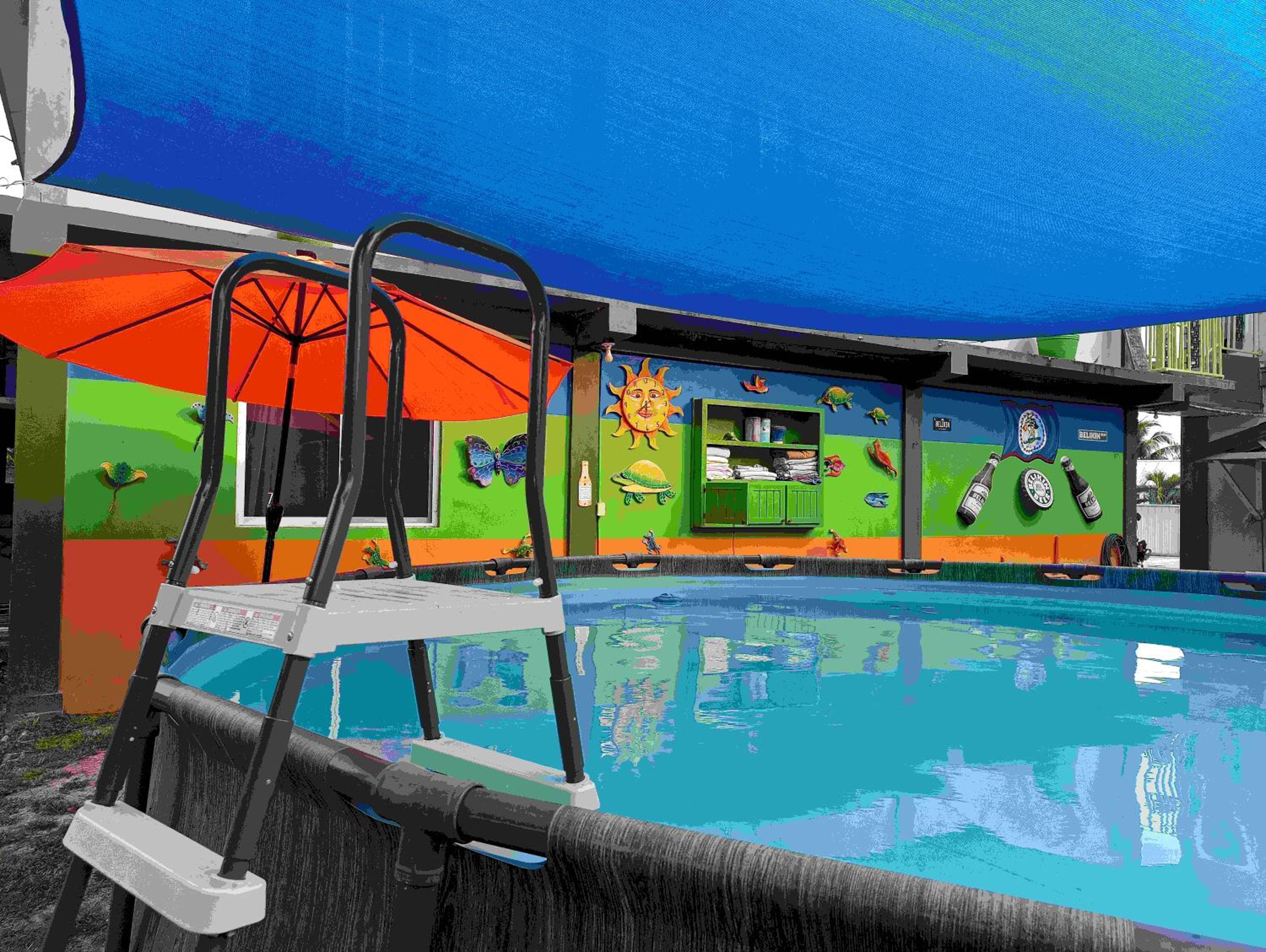 Blue Morpho Suite