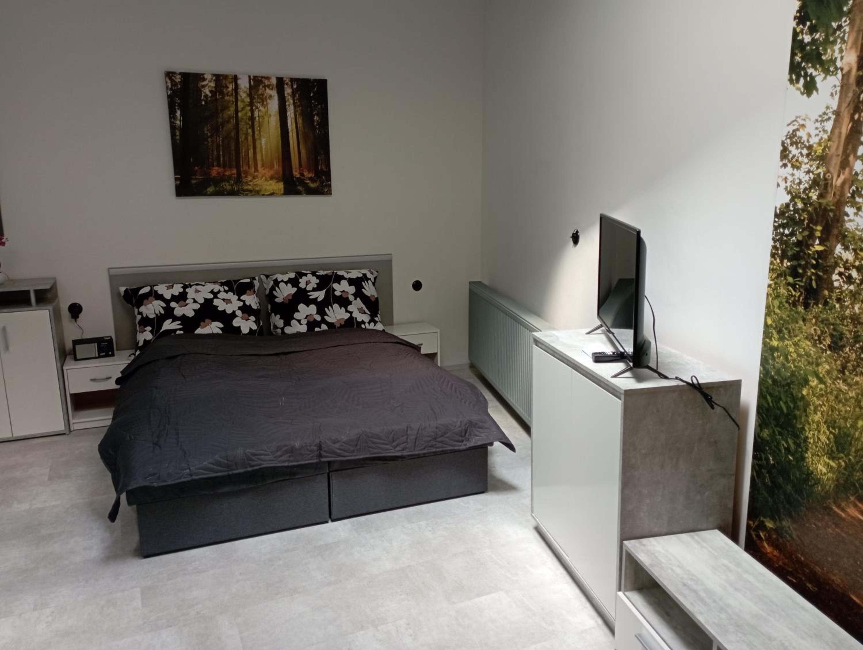 Soukromý apartmán Deluxe