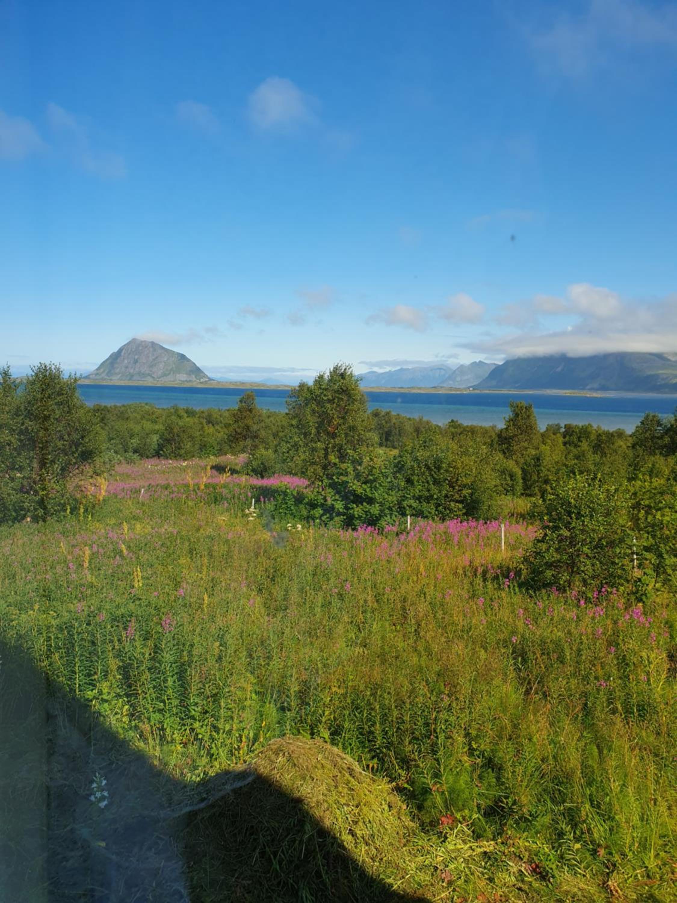 Feriehus med utsikt mot fjellet Hoven view 2