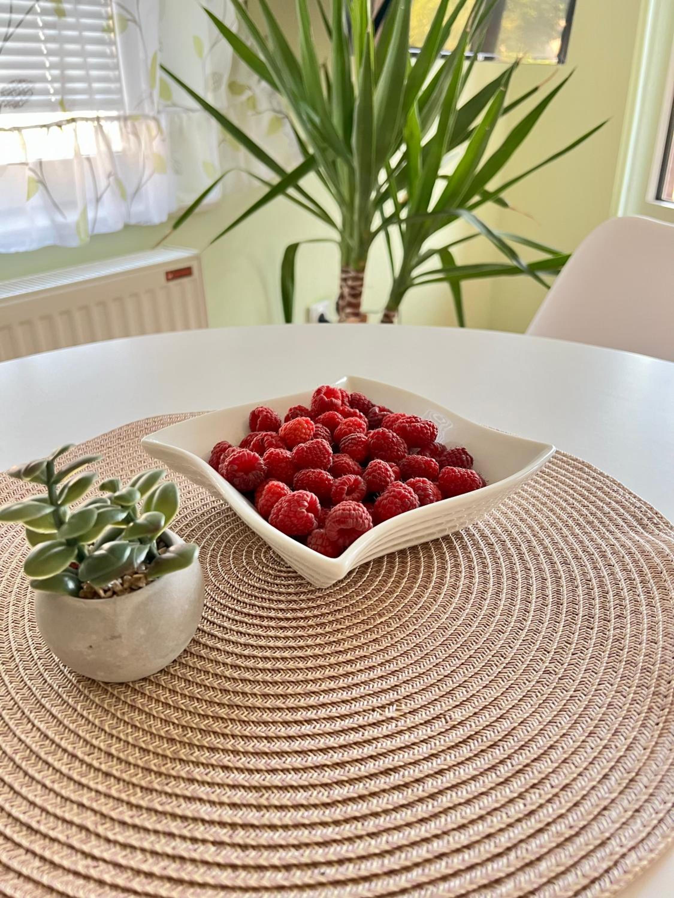 Apartman Rosić