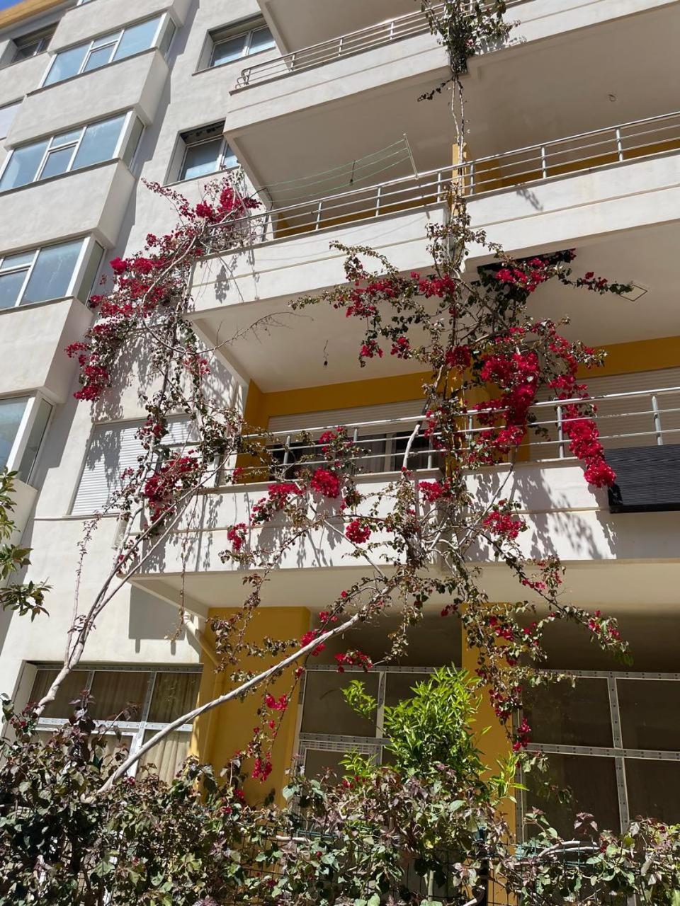AmaDea Apartments #2