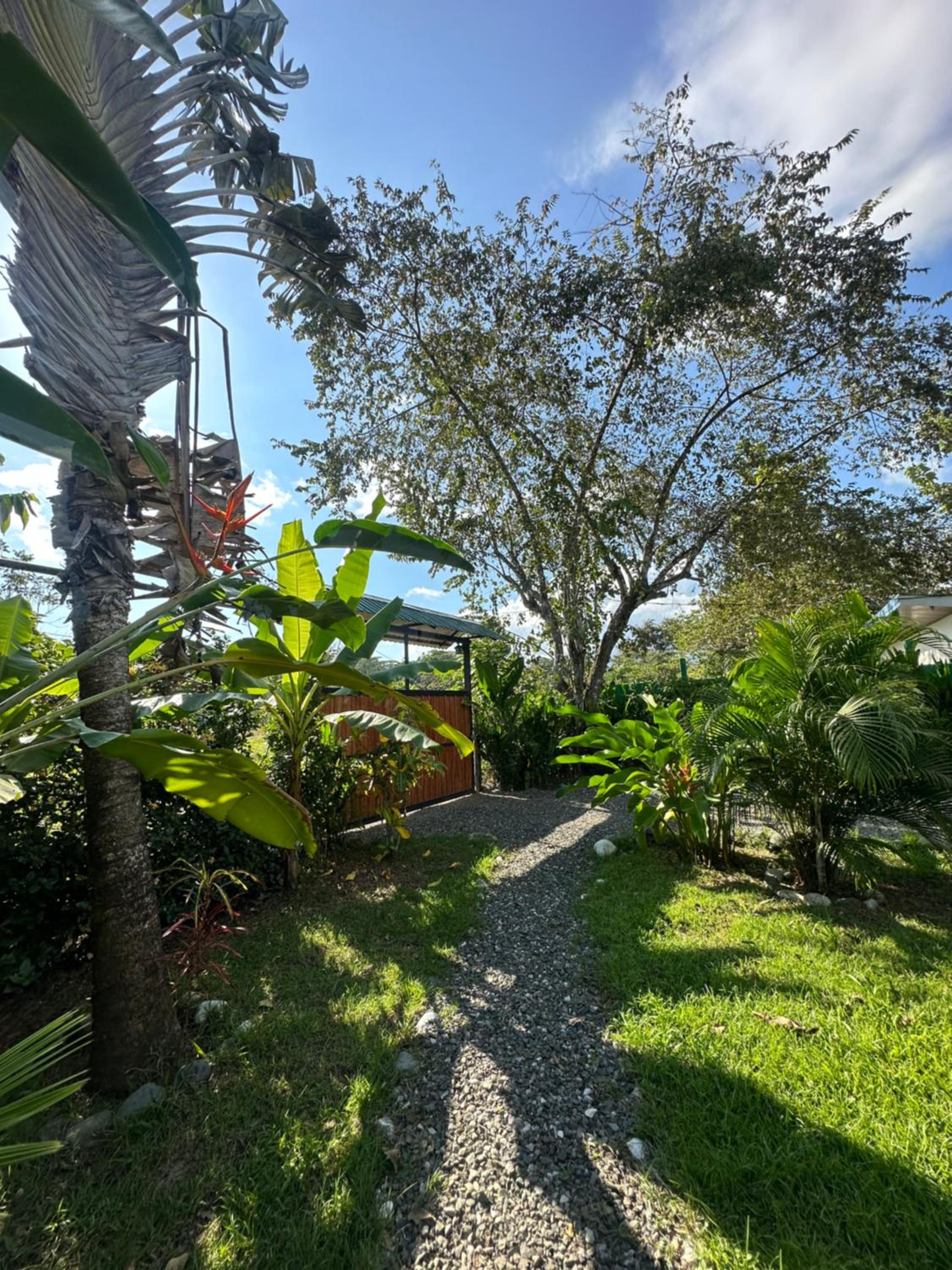 Casa Josh del Bambu