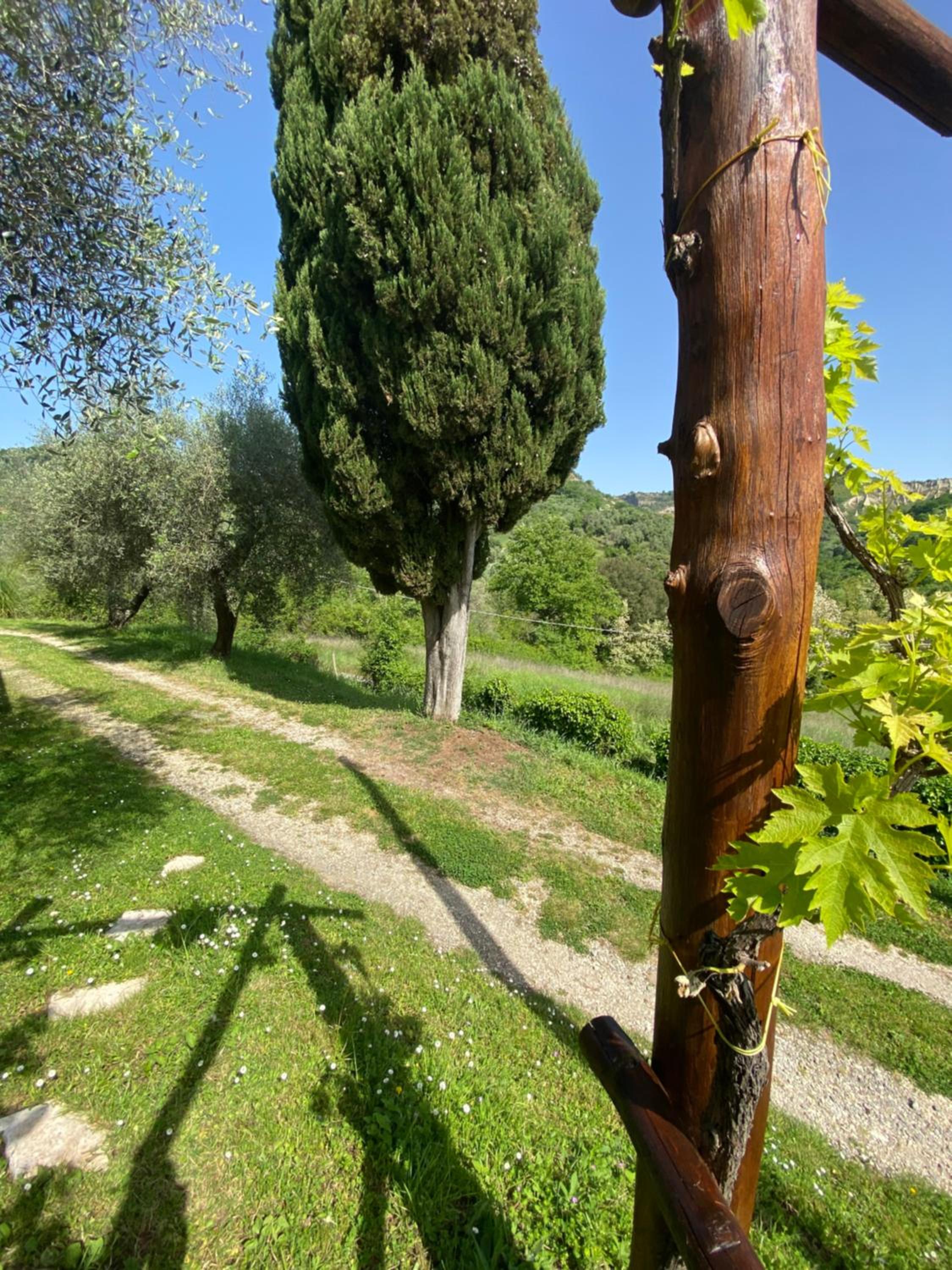 Dimora Bella Civita Bagnoregio