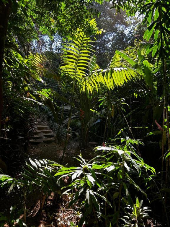 Villa Heliconias