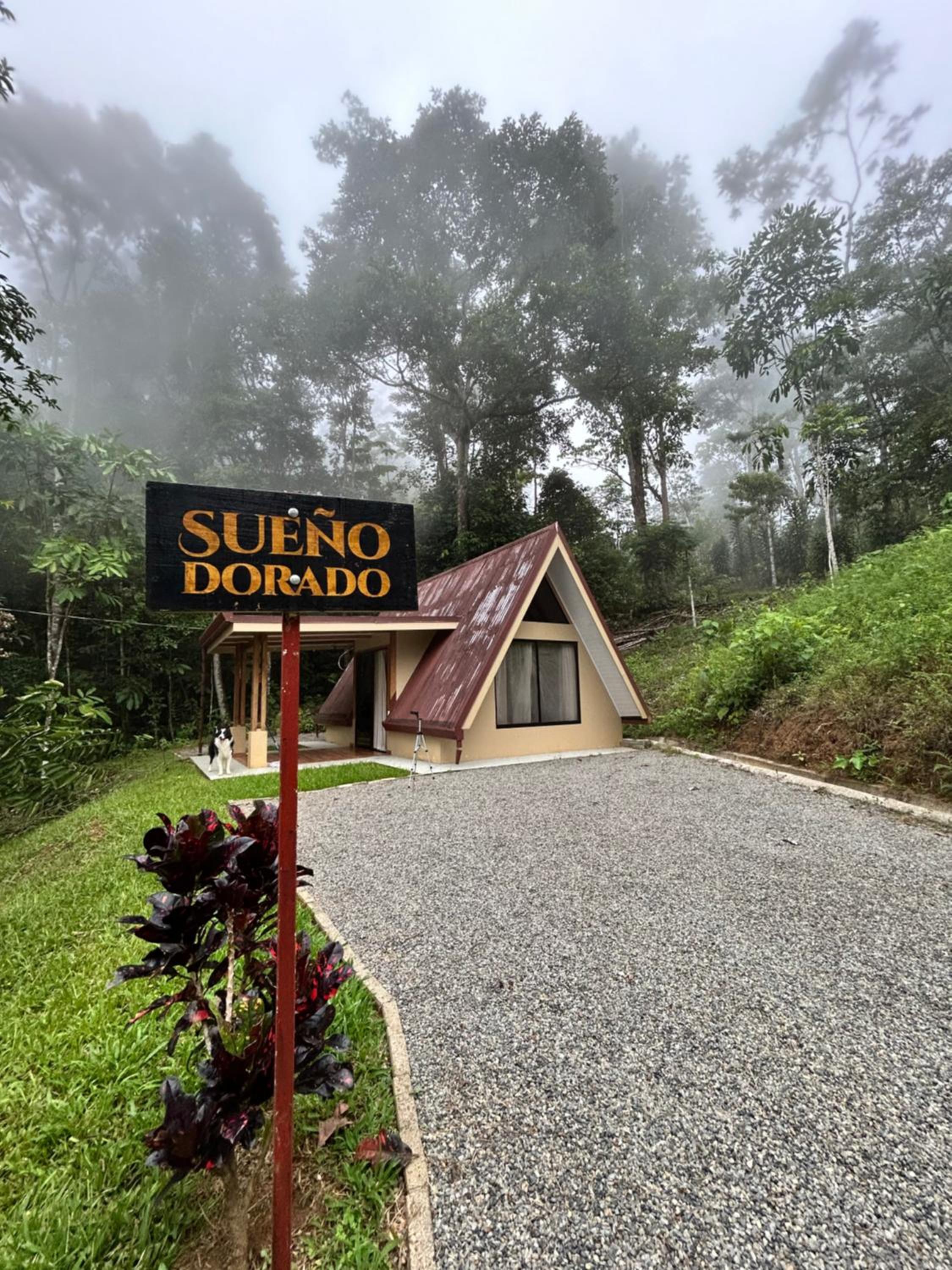 S Dorado