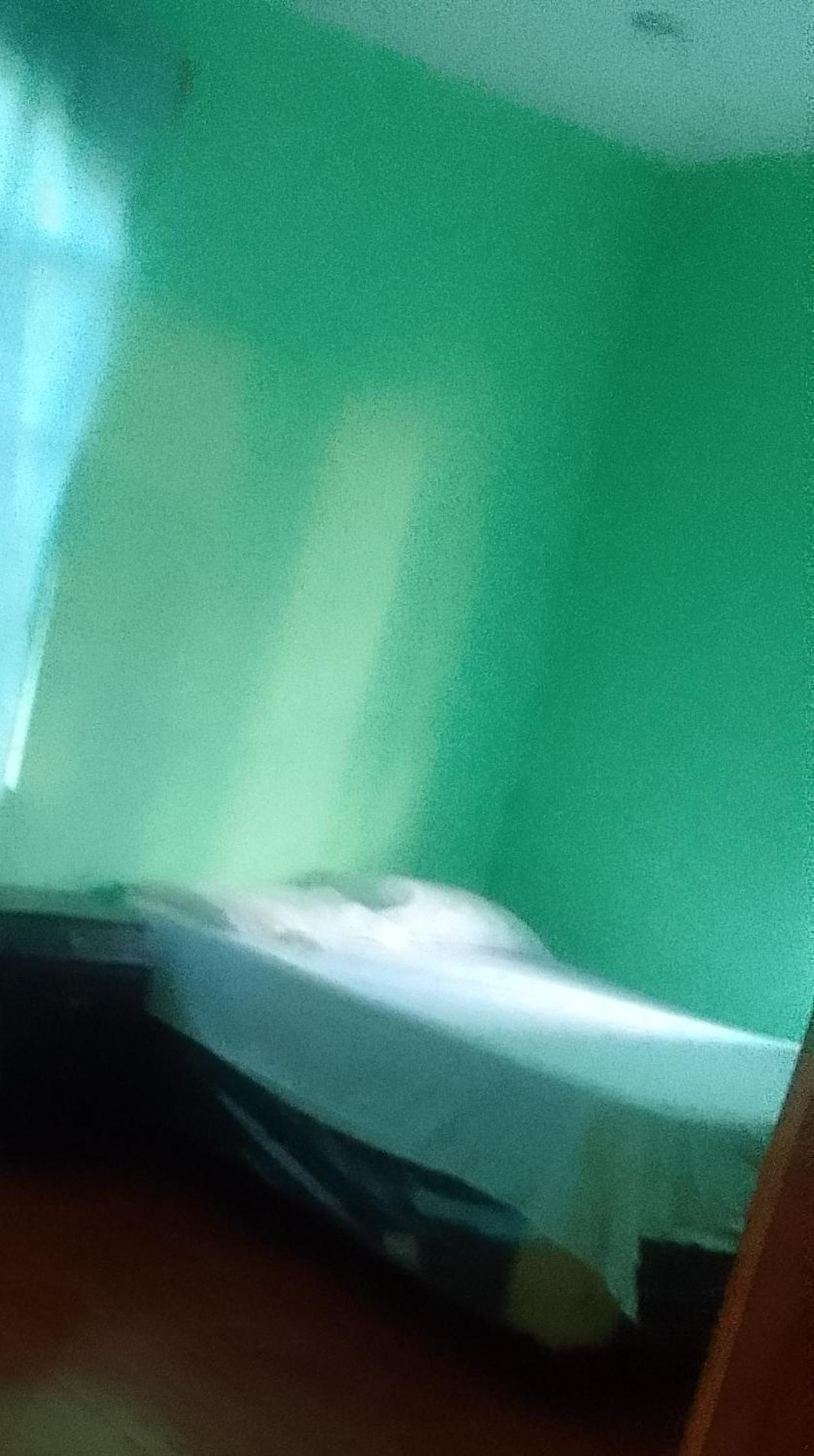 Jehava nissi rent house
