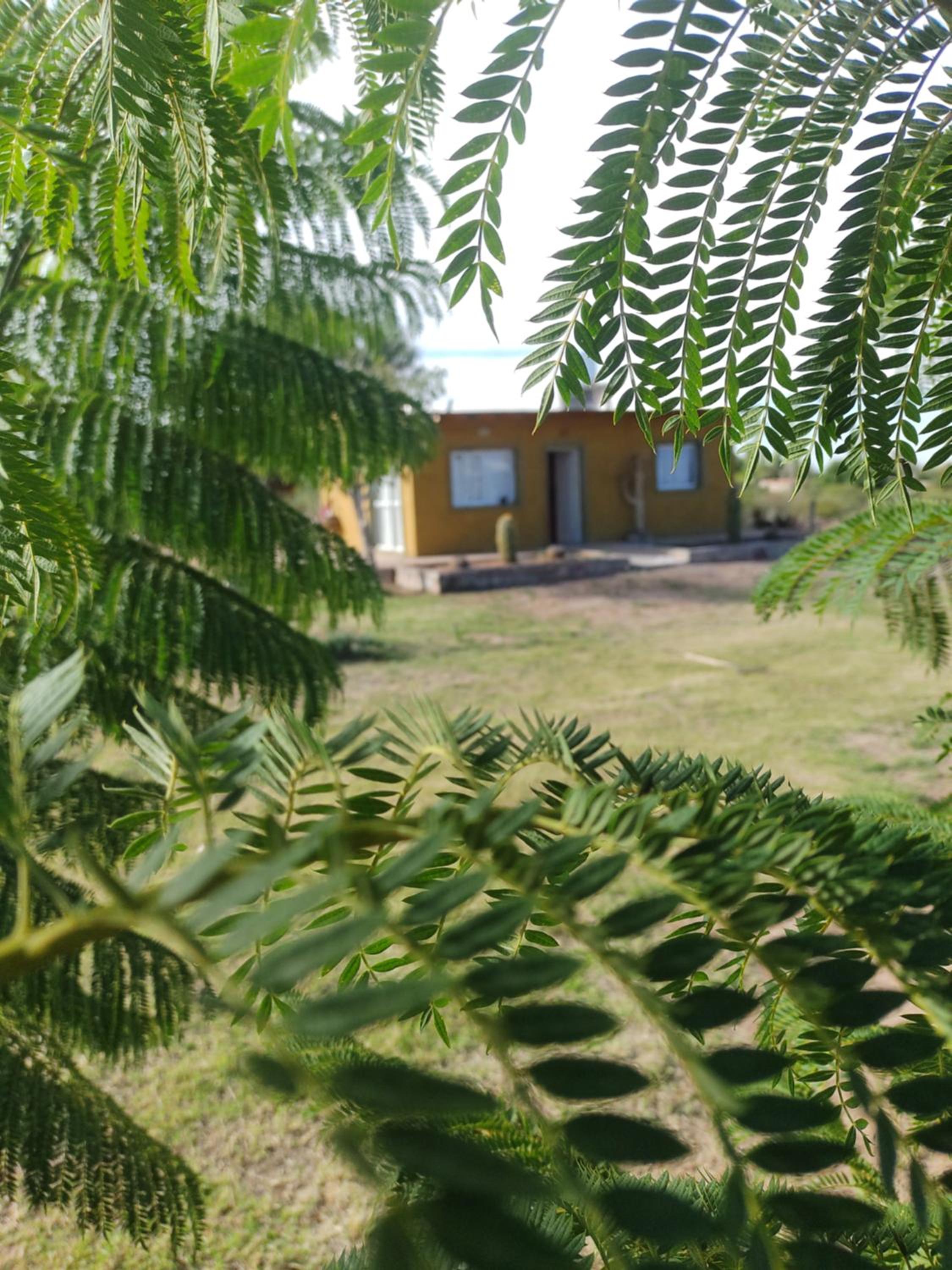 Cabaña Los Cardones