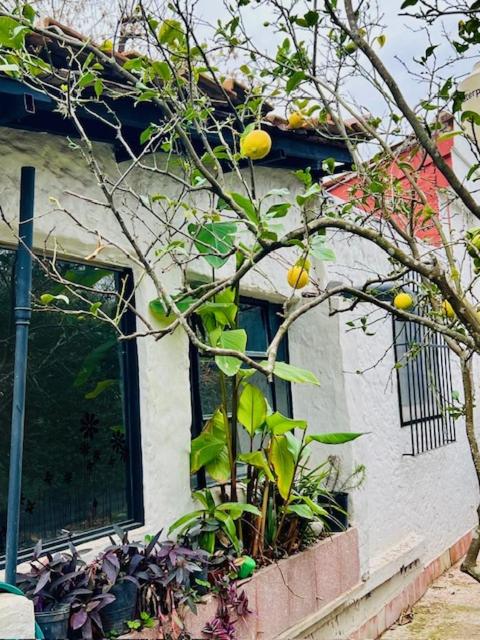 Maravillosa Casa Quinta