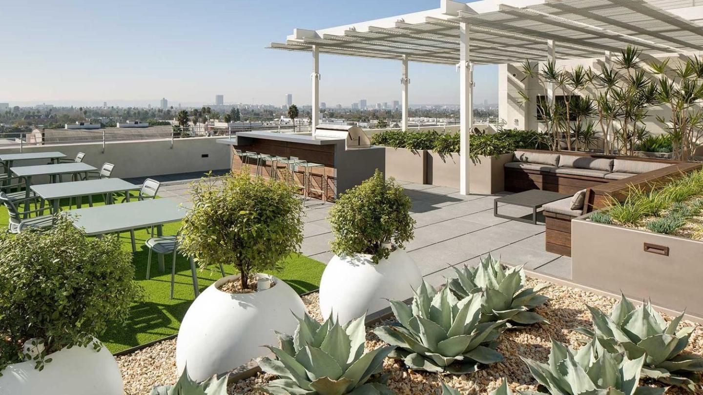roof