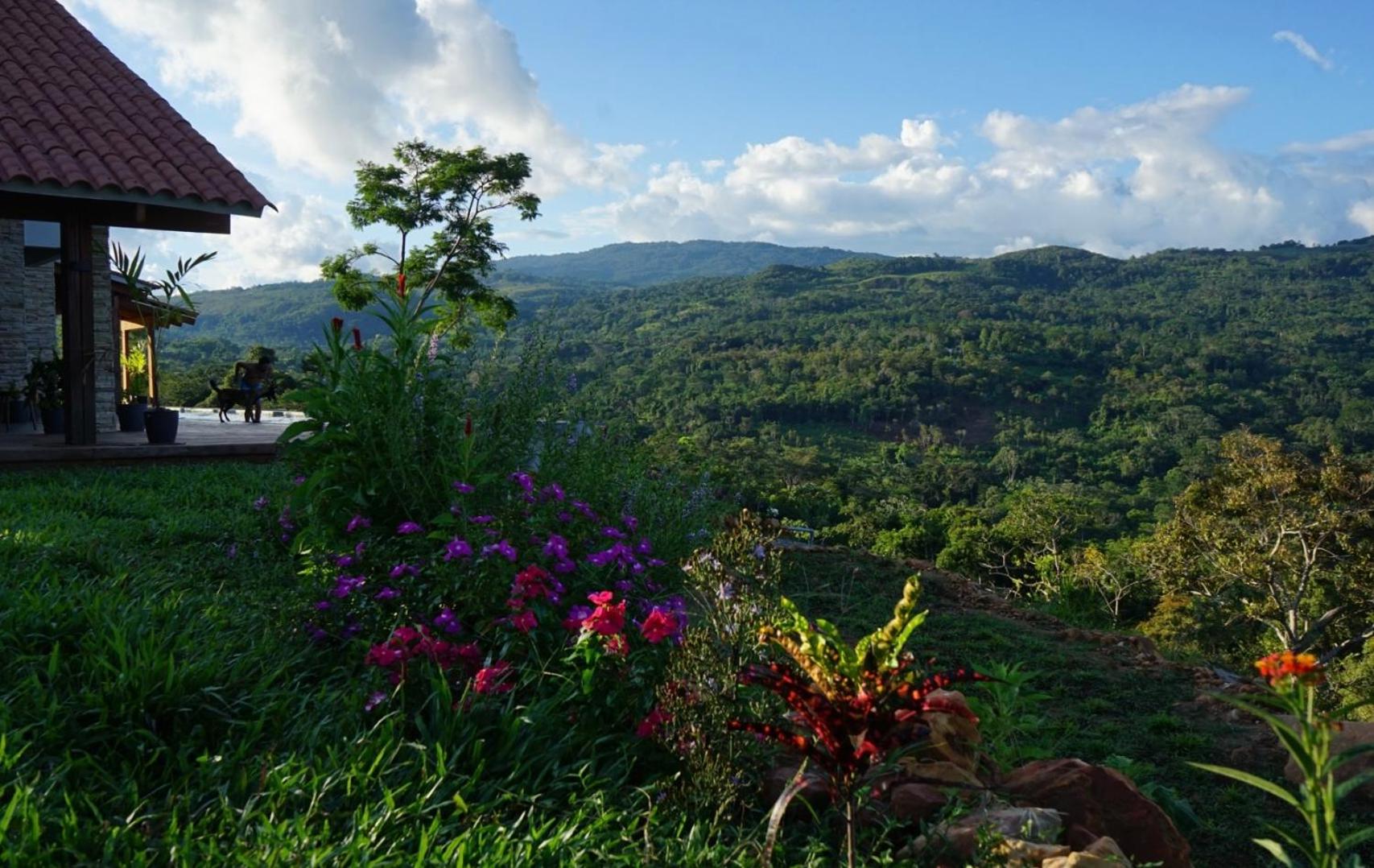 Fundo Shanti view 2