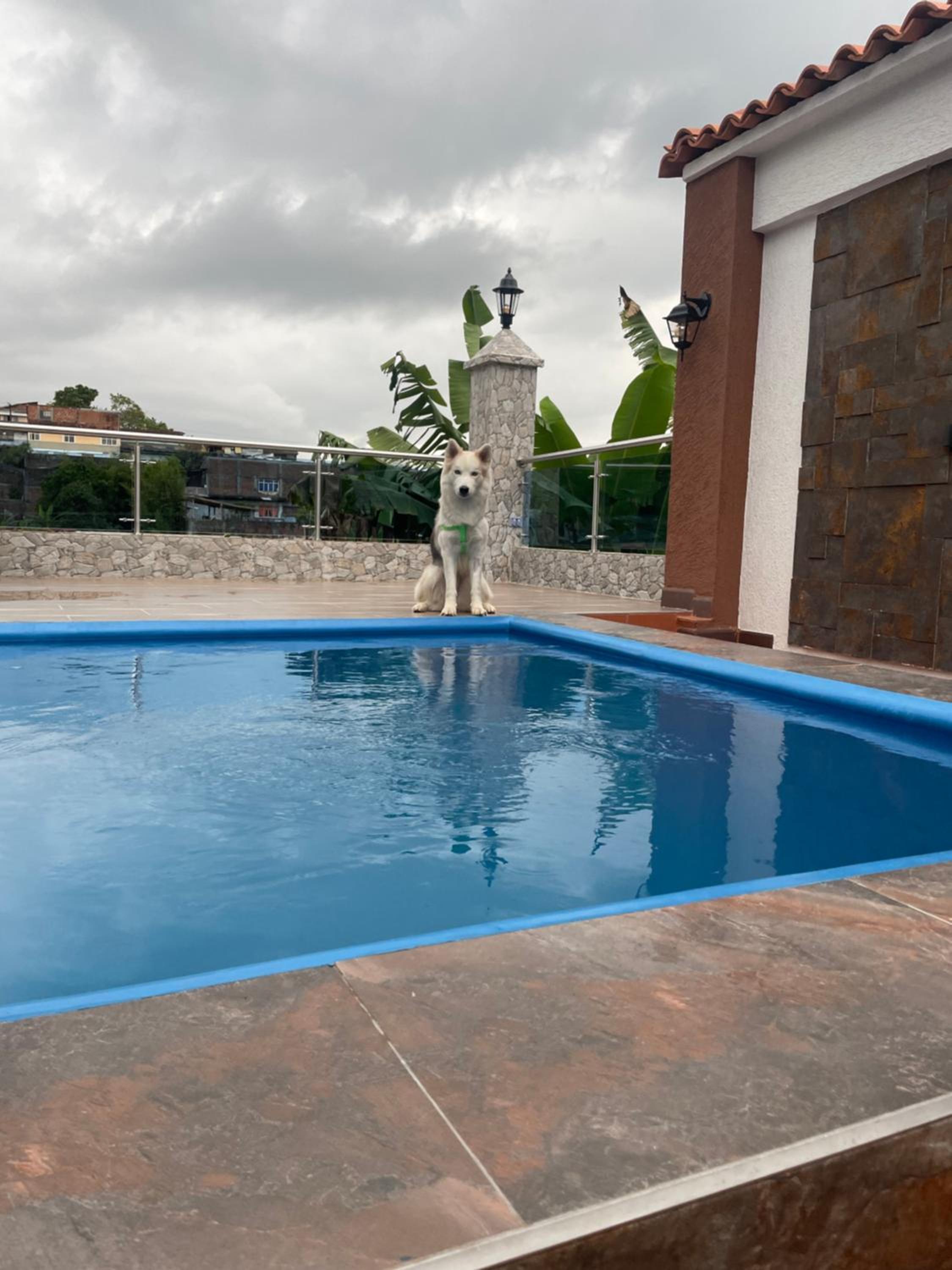 El oasis Sevilla