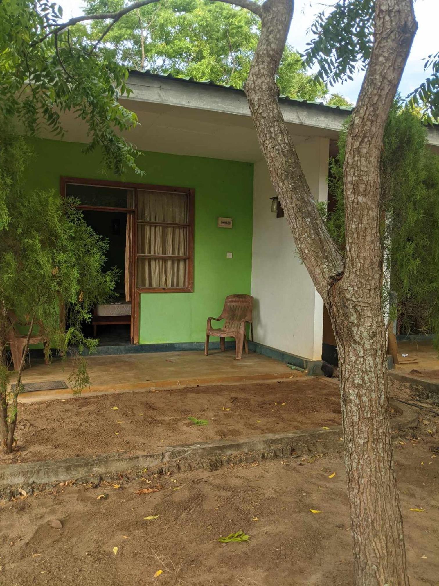 Photo 16