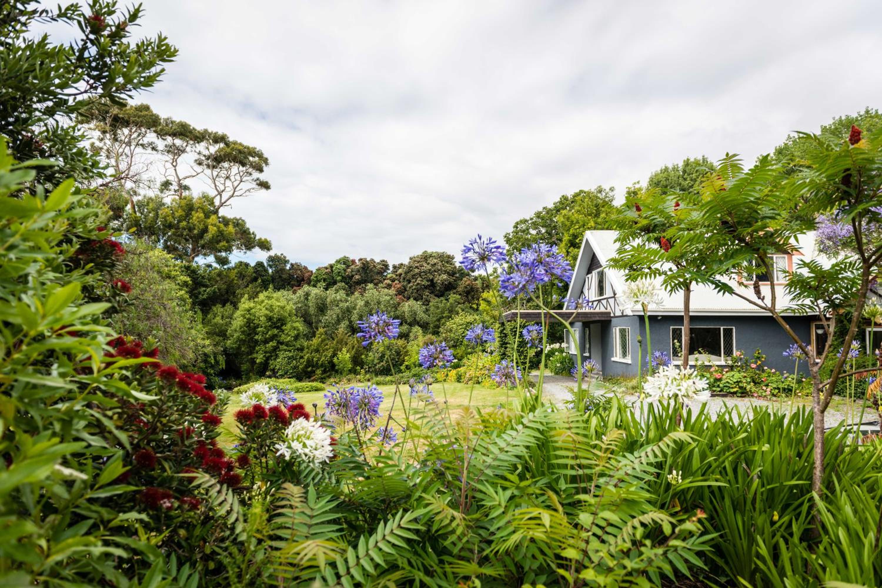 Dunluce Coastal Farmstay view 5