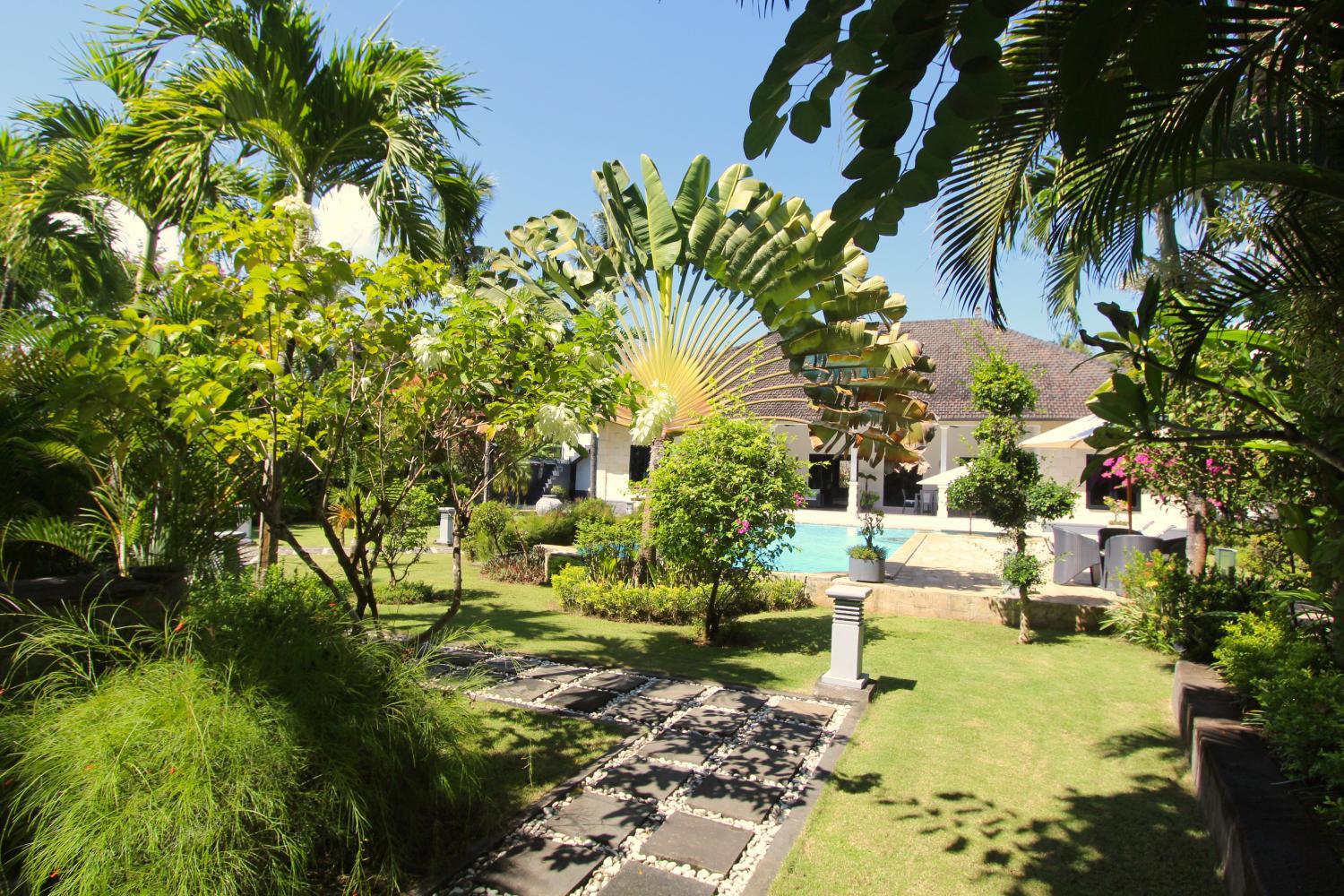 Photo 15