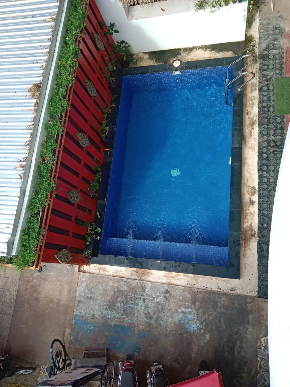 Photo 11