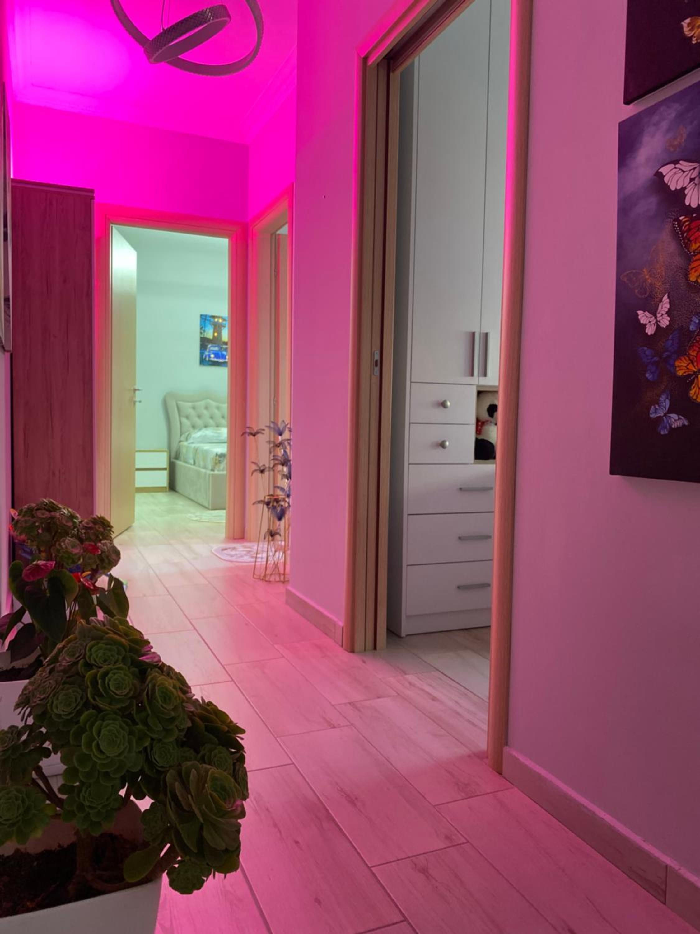 Grei Apartament