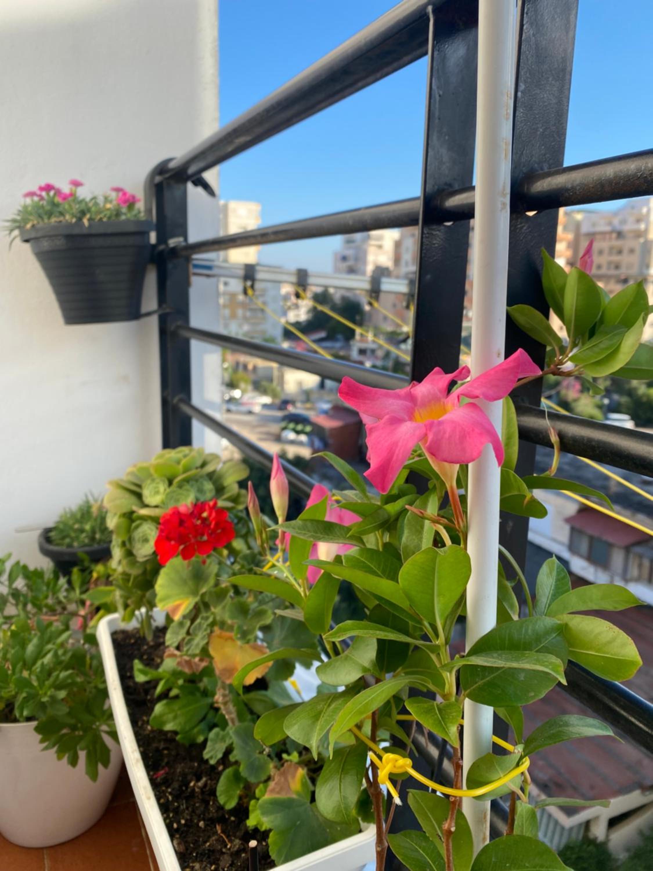 Grei Apartament