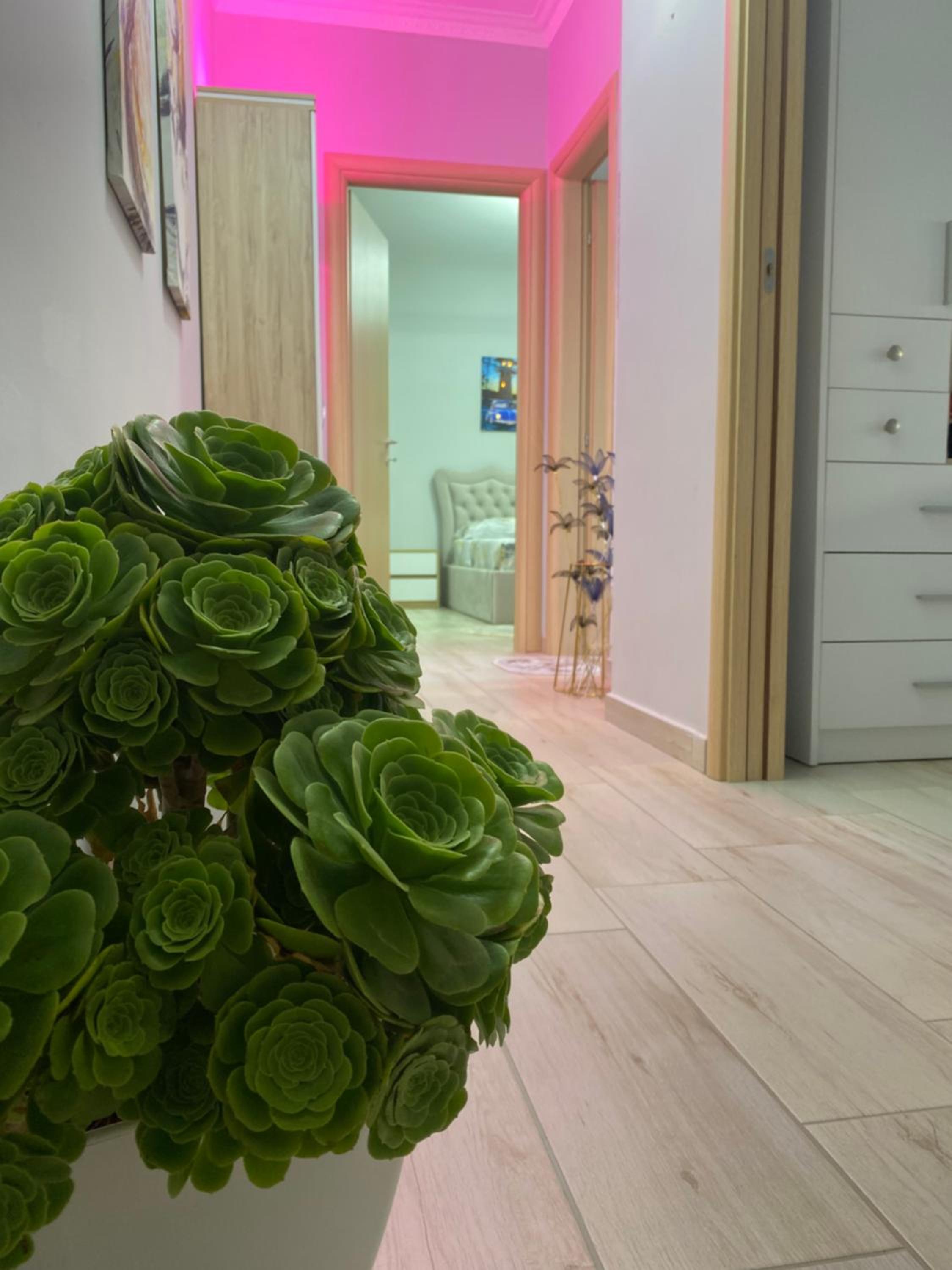 Grei Apartament