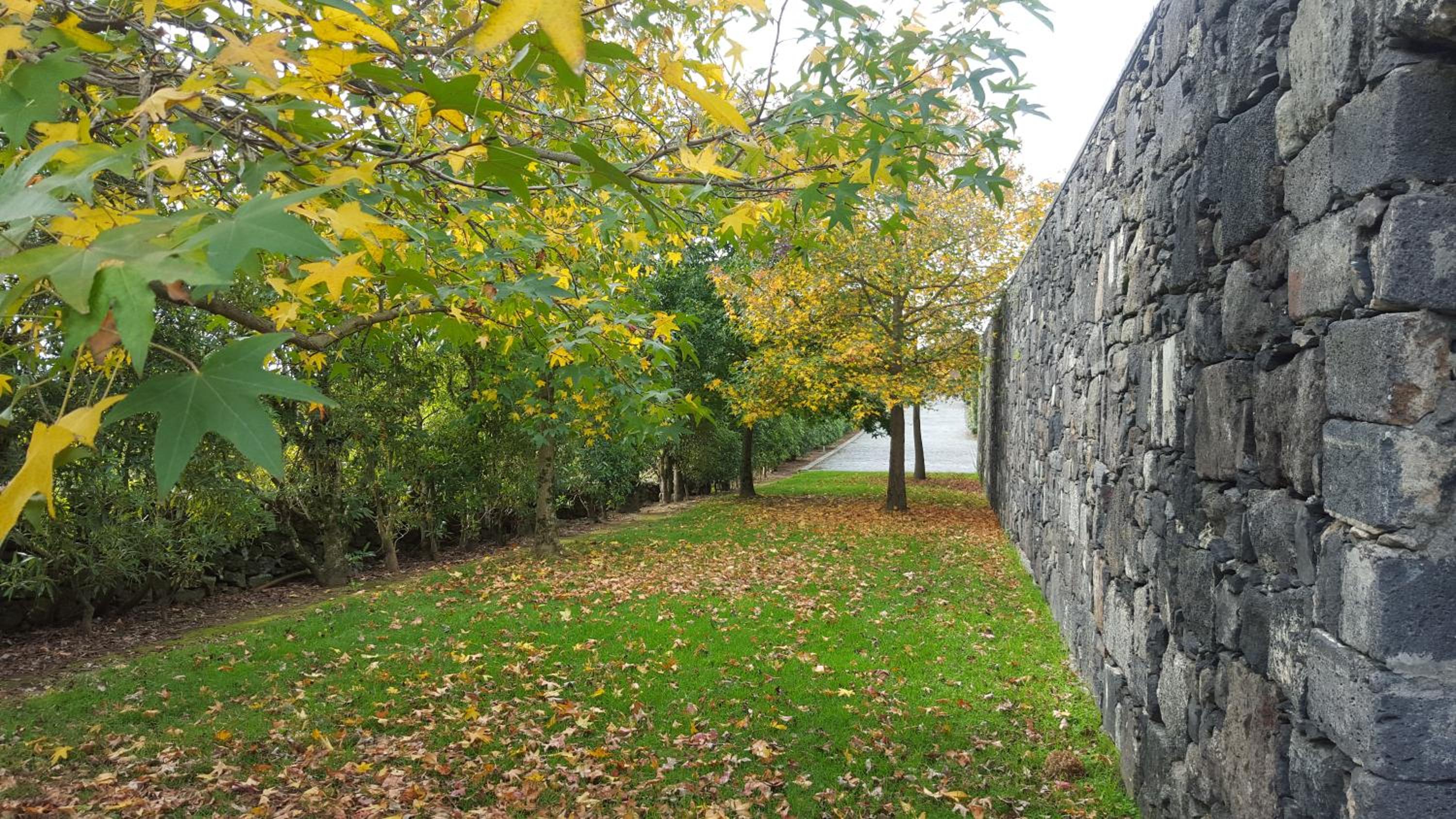 Quinta de Santa Clara