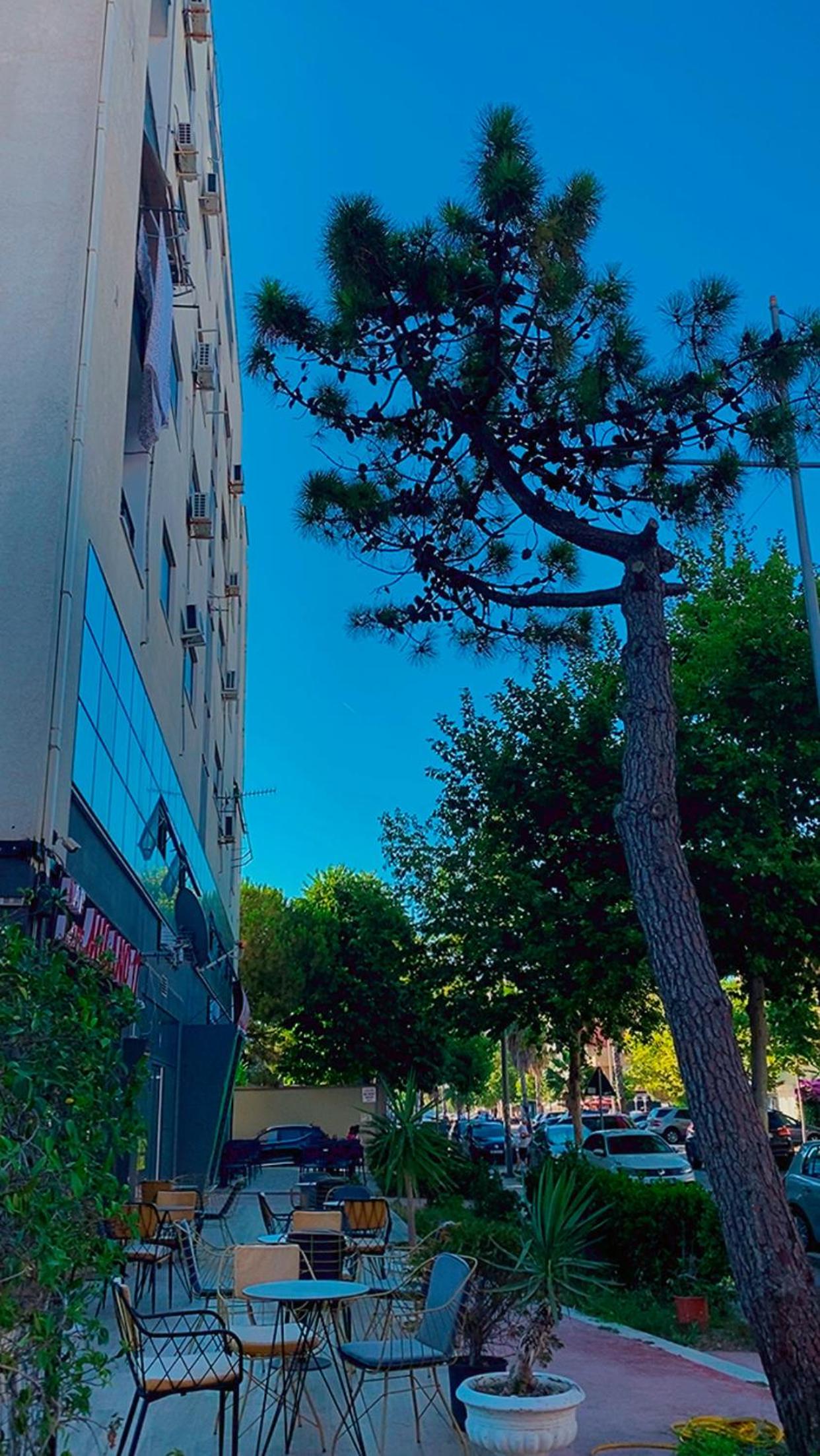 Grei Apartament