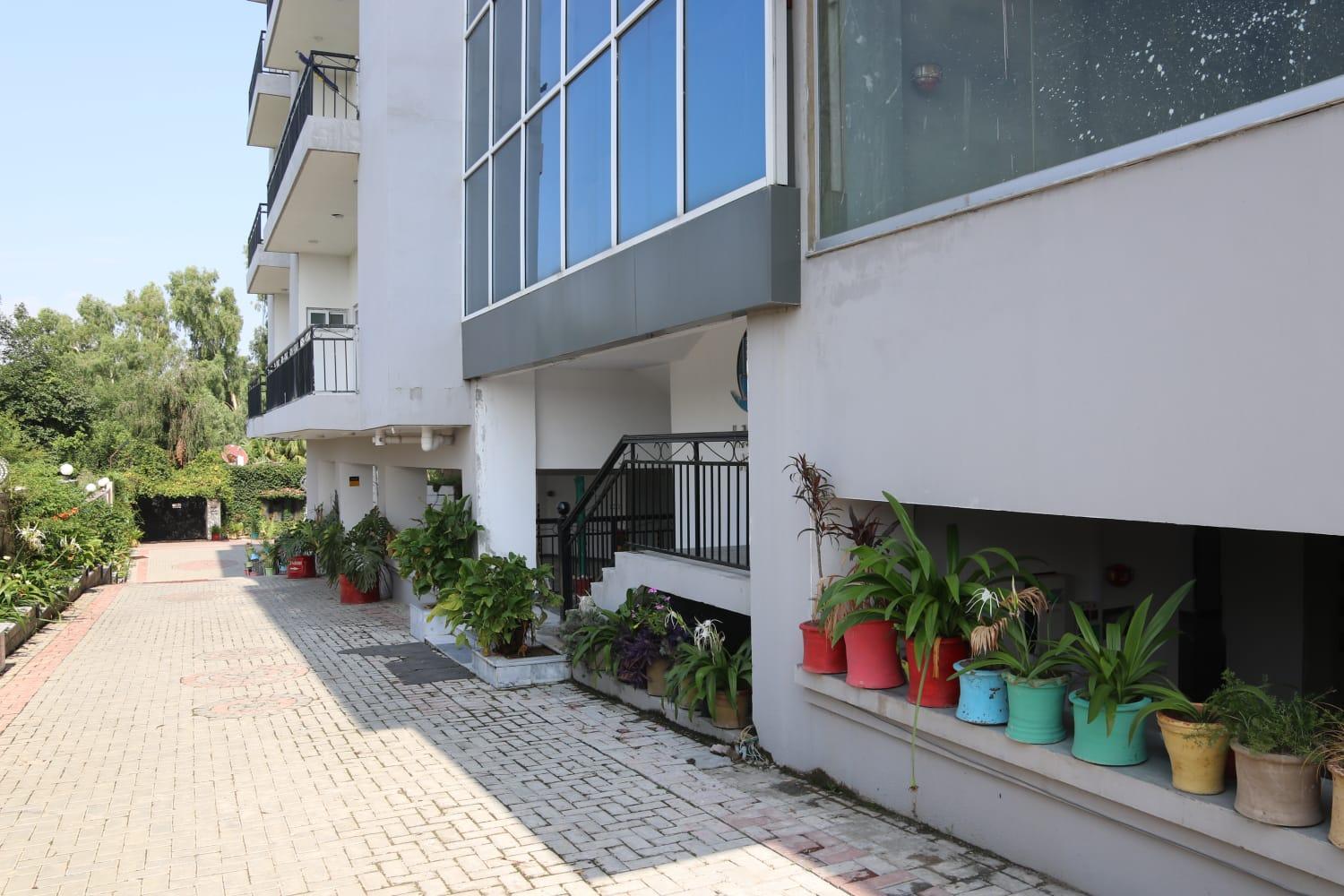 Photo 11