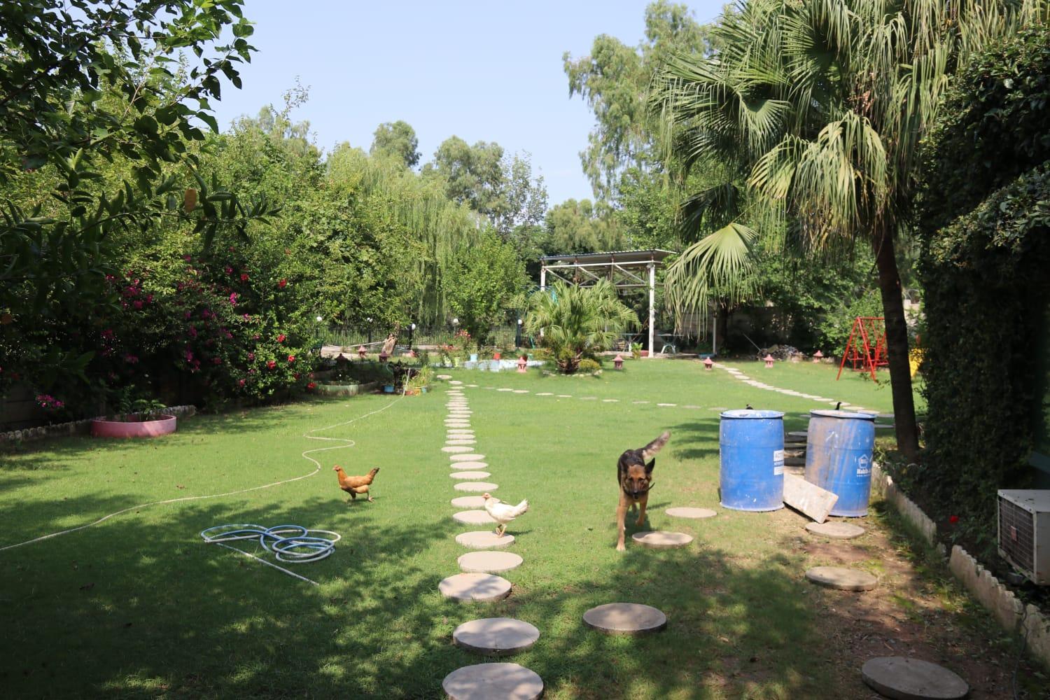 Photo 20