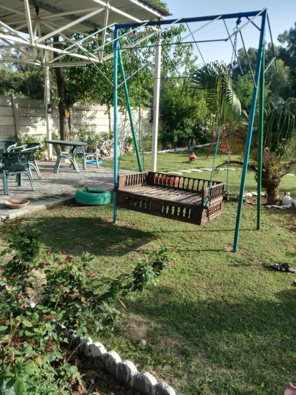 Photo 19