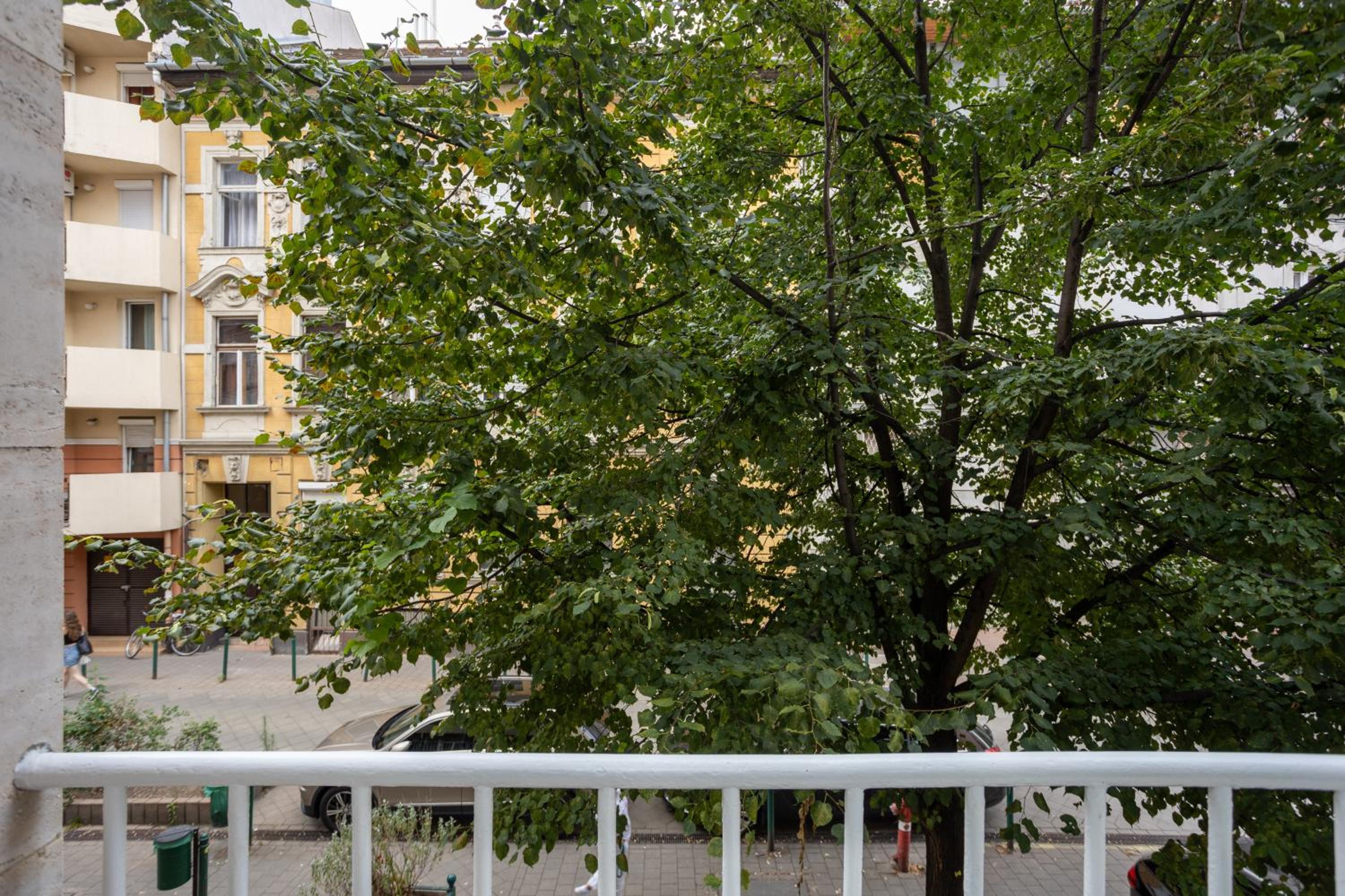 WhiteAngel Apartments