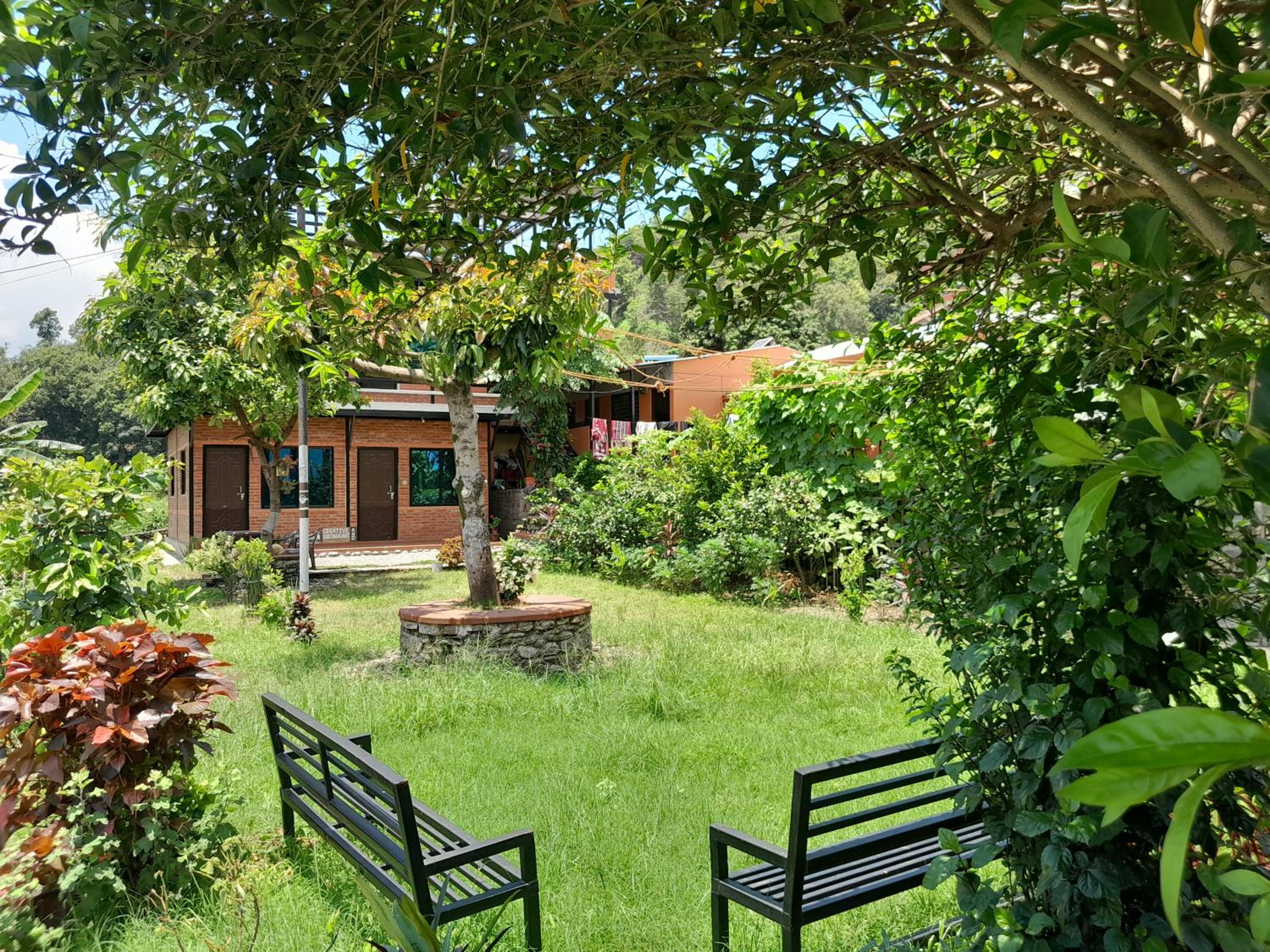 Sunny Peace Home view 2