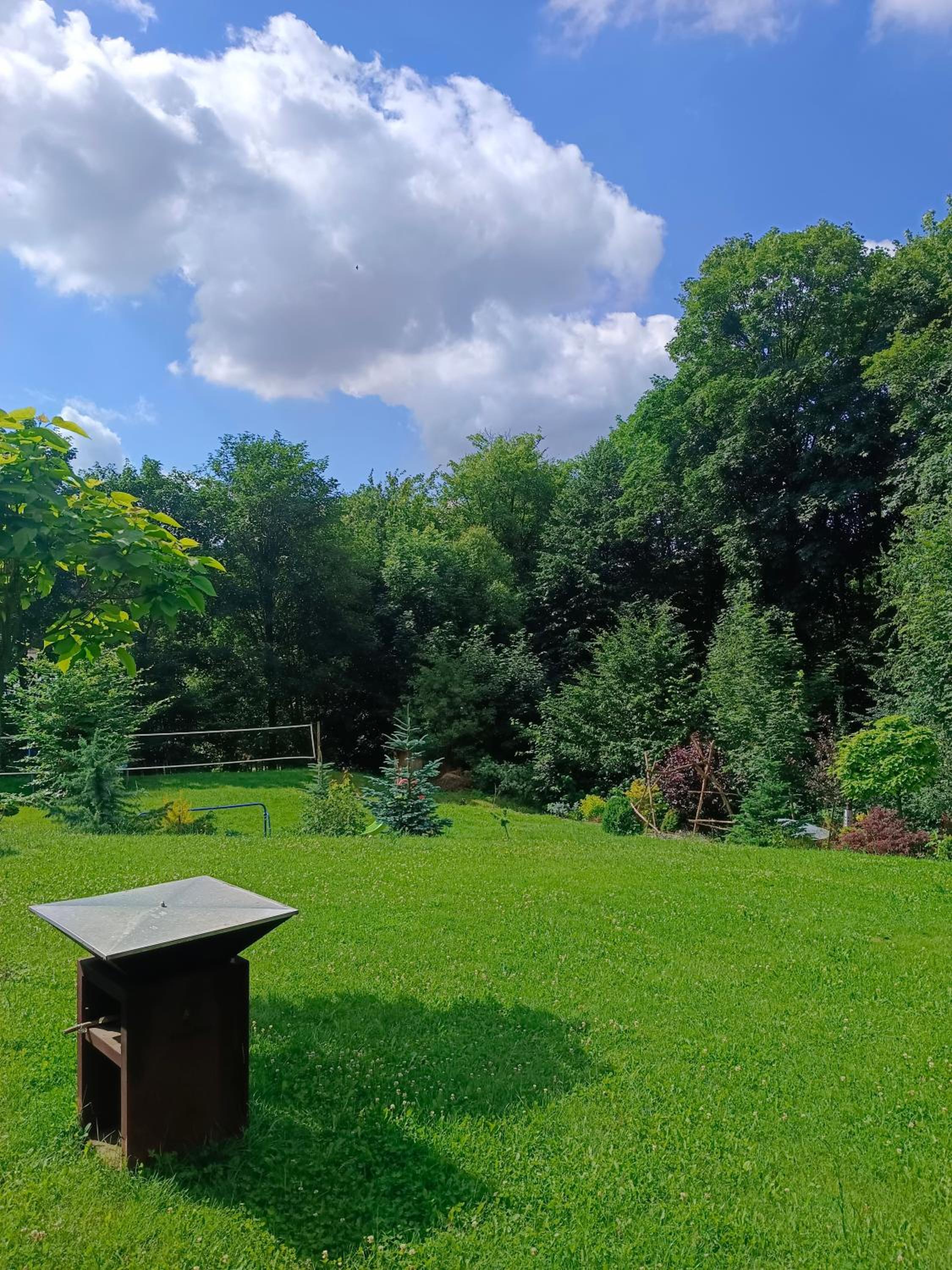 Bungalov u lesa
