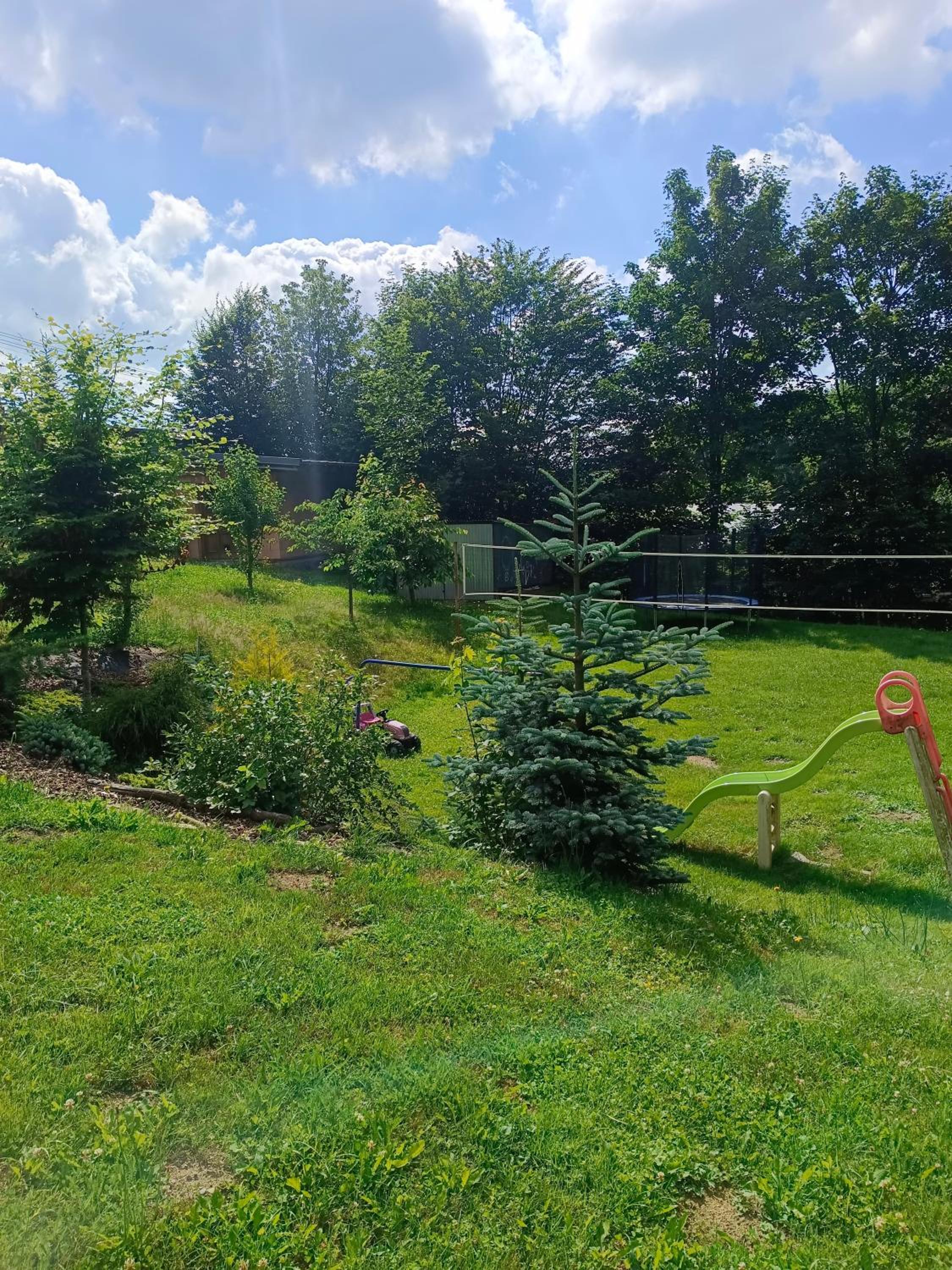 Bungalov u lesa