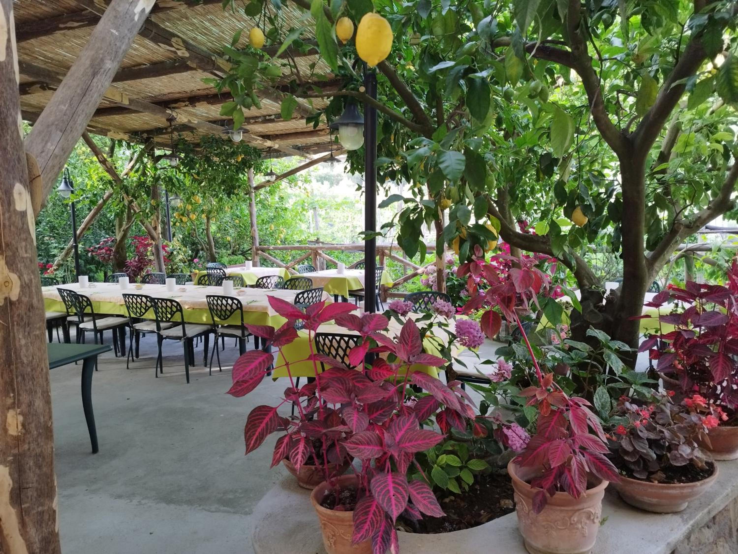 Agriturismo La Lobra