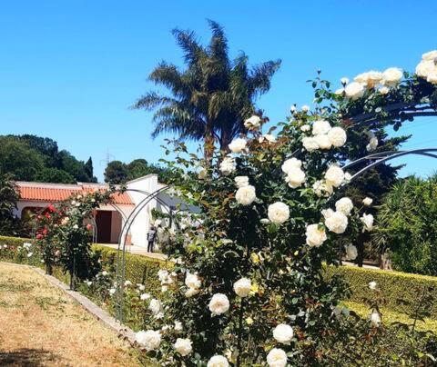 La casa di Babette view 4