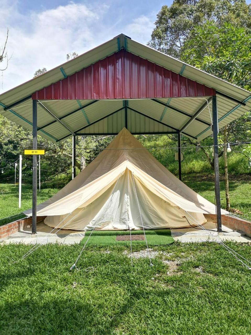 Rasa Durio Eco Glampz view 2
