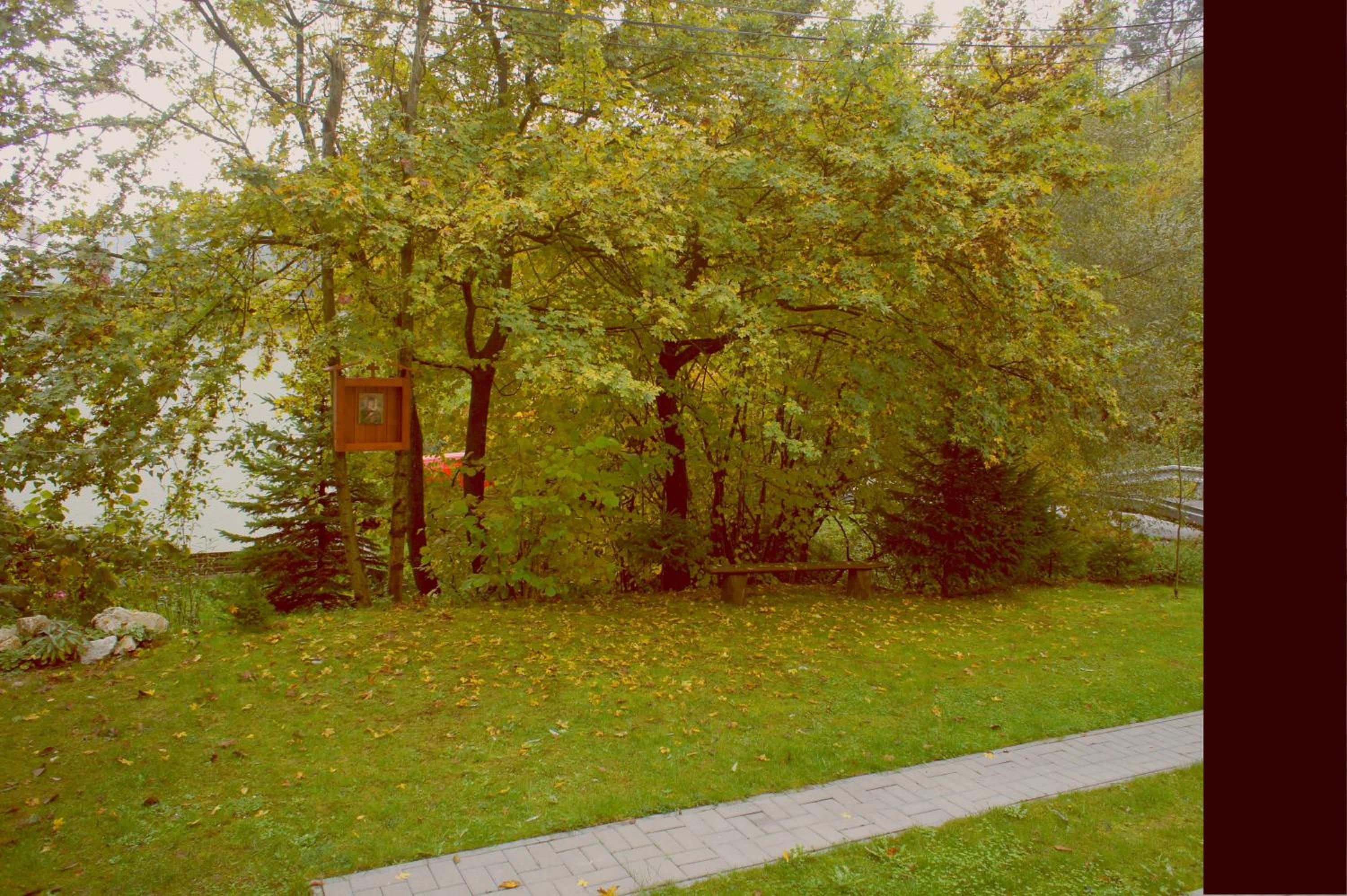 Photo 56
