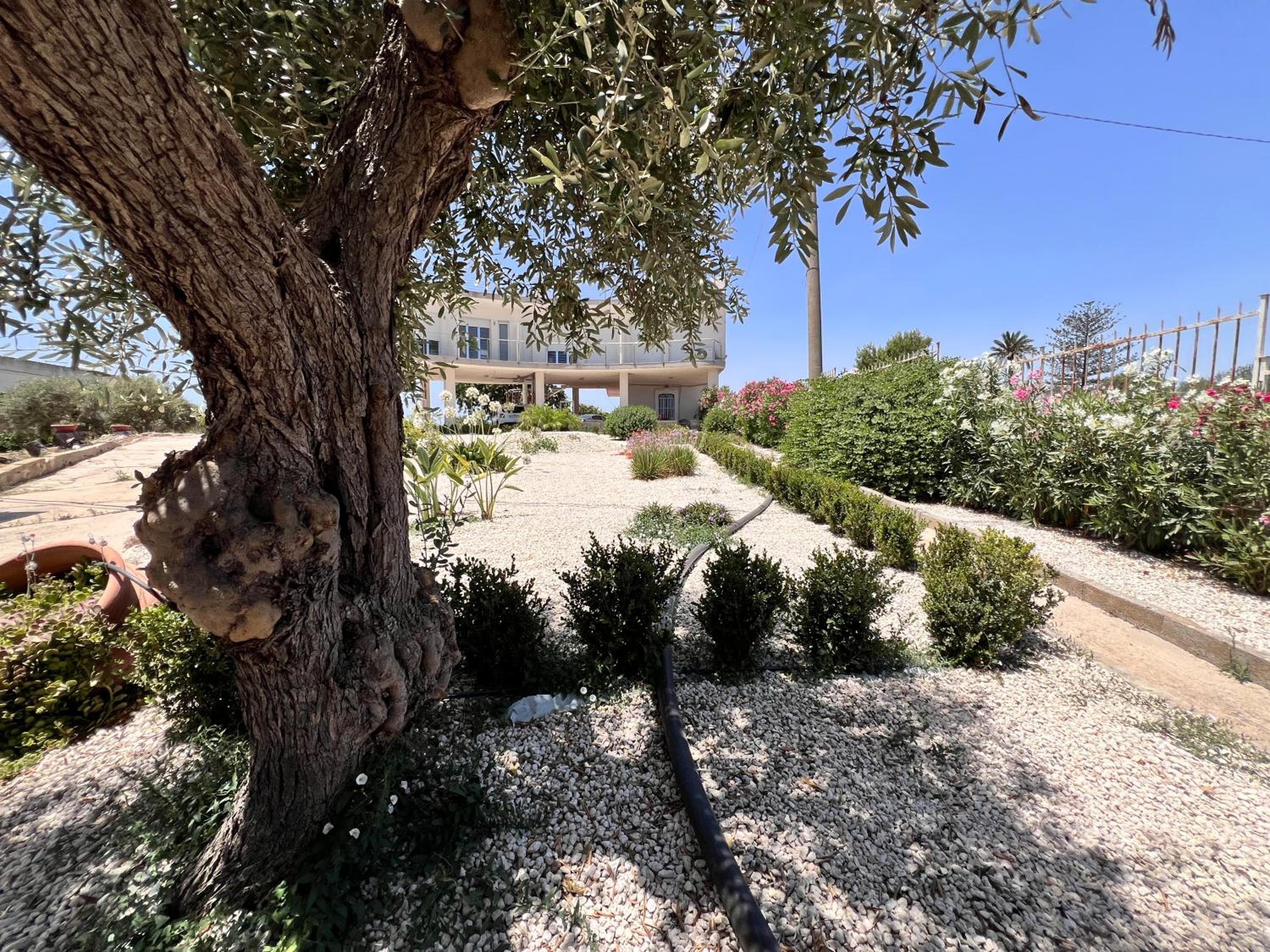 Marzamemi rooms
